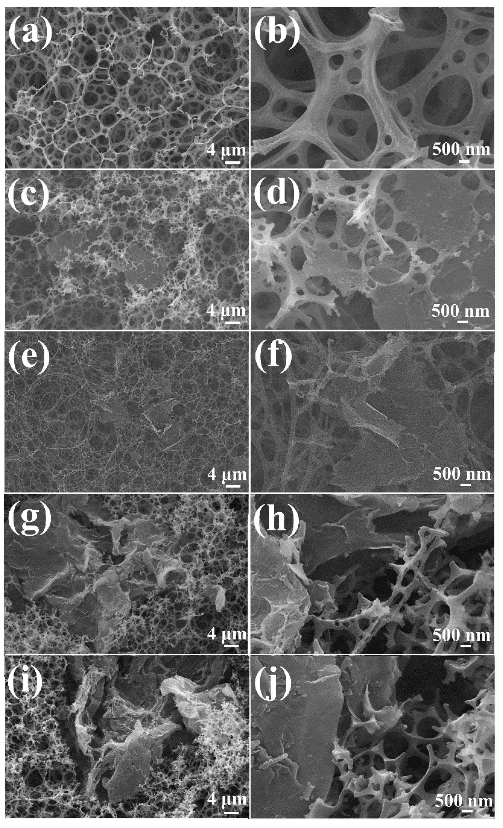 Polymers 14 02289 g002 550