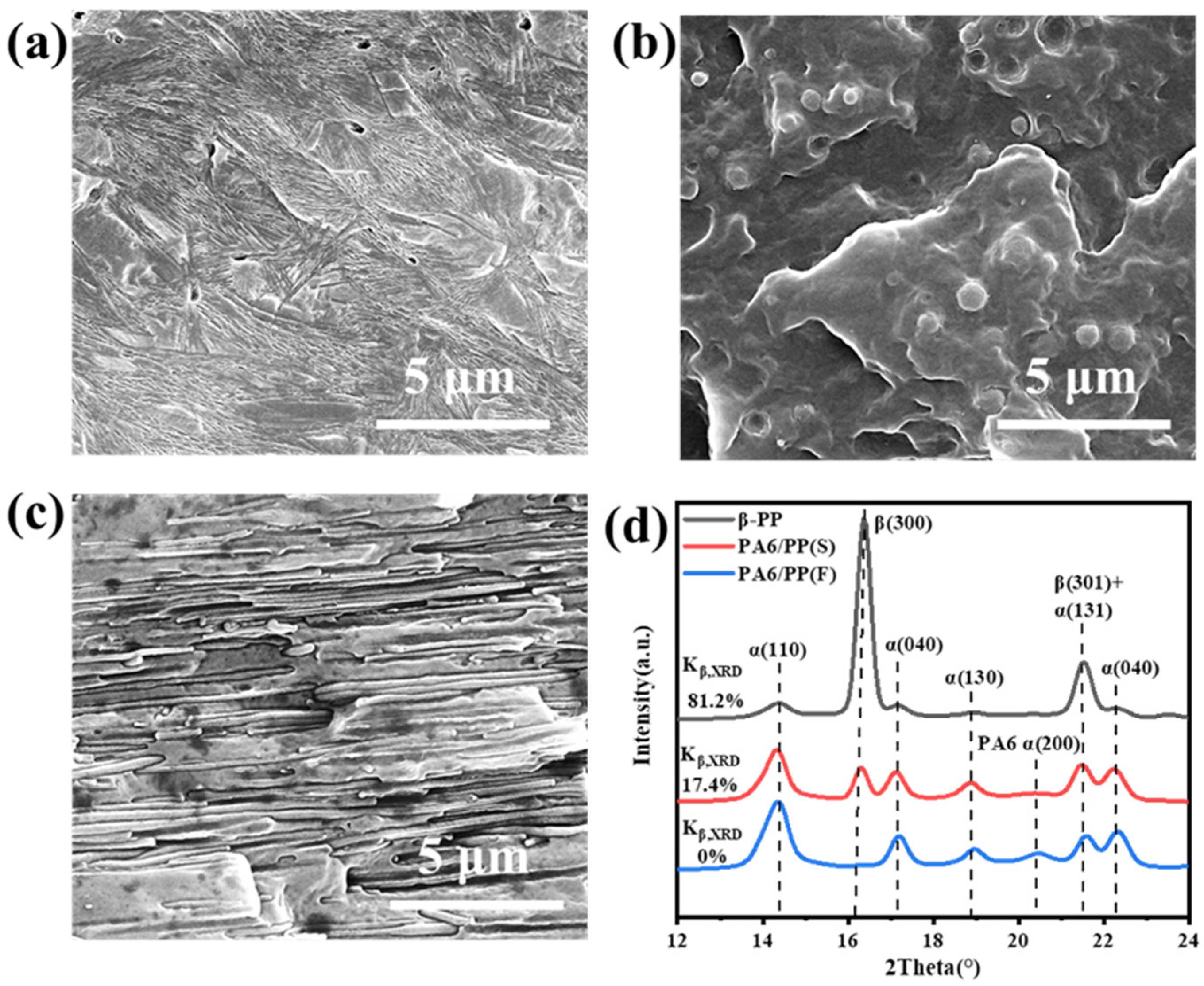 Polymers 14 02291 g001