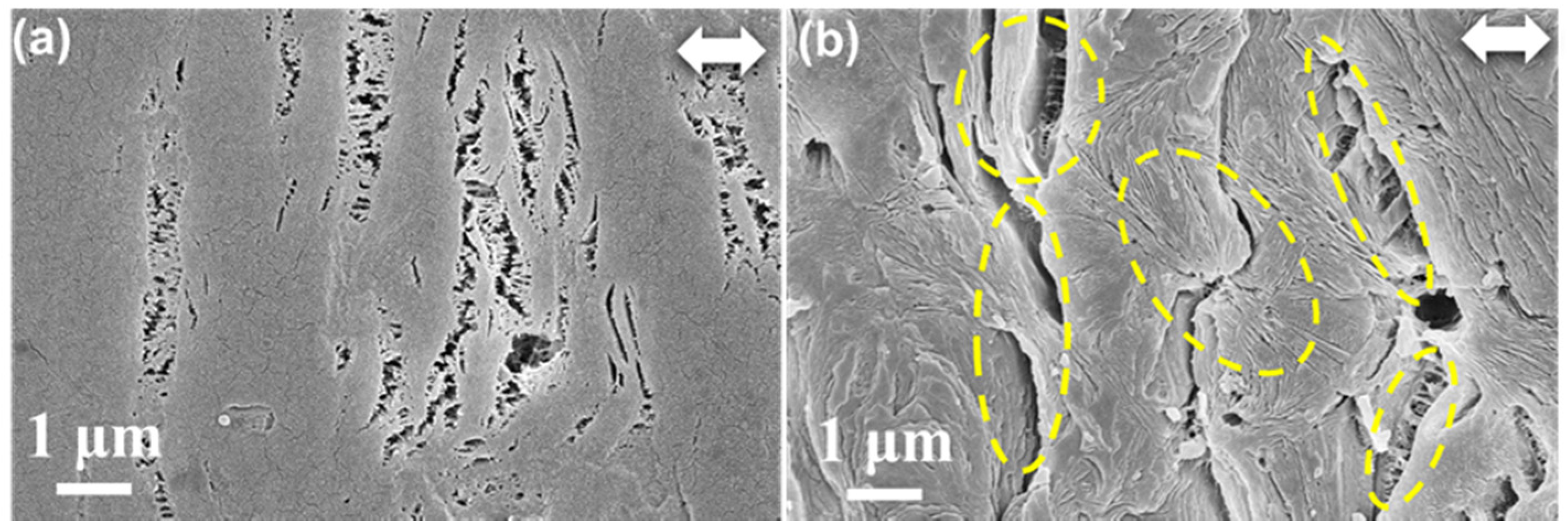 Polymers 14 02291 g003
