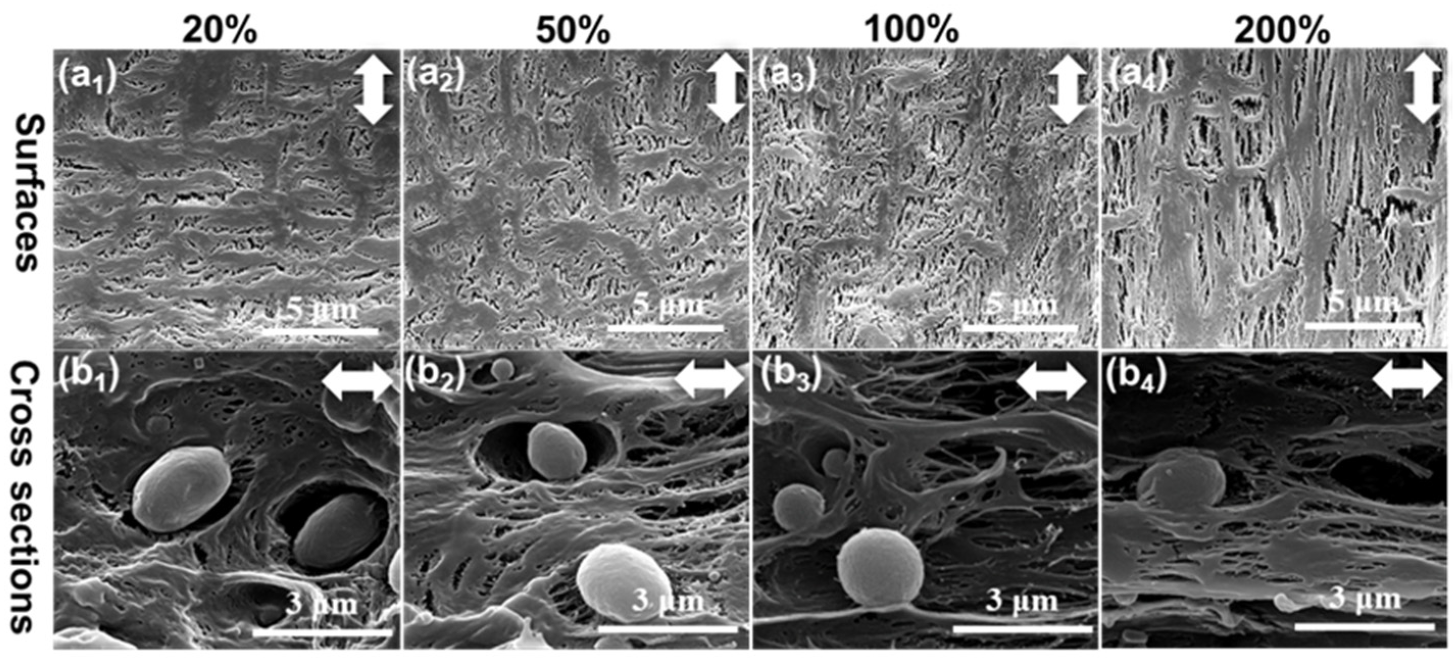 Polymers 14 02291 g005