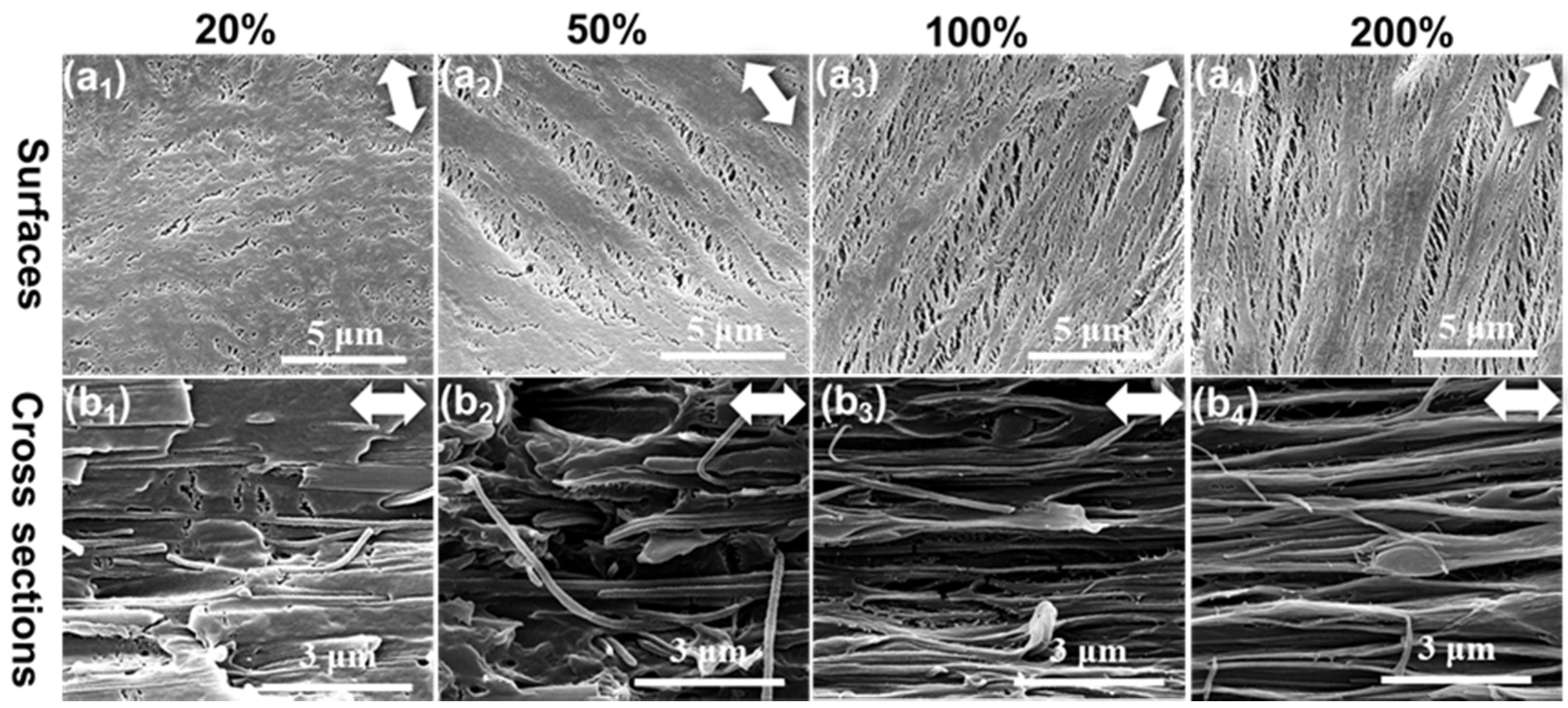 Polymers 14 02291 g006