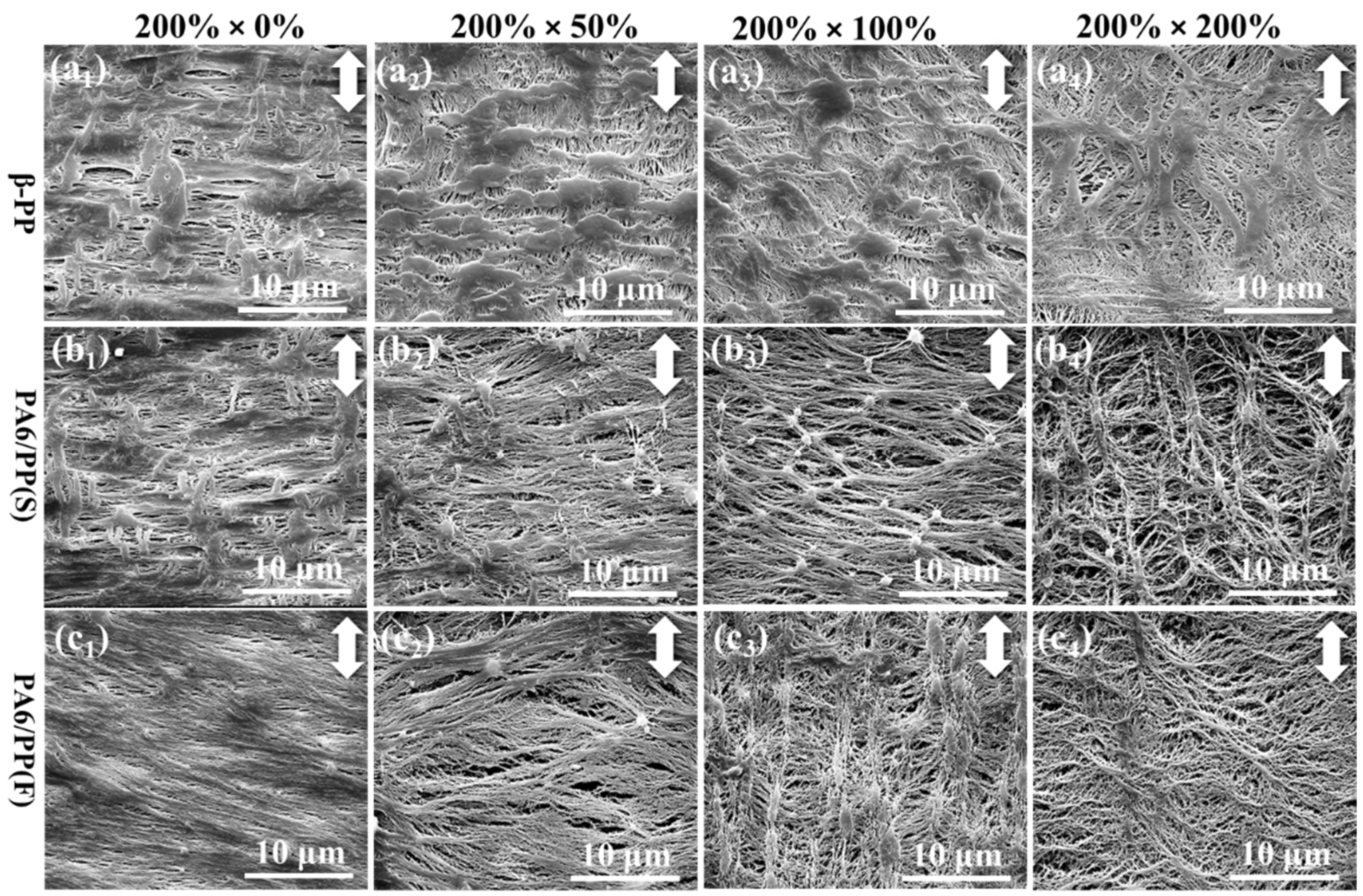 Polymers 14 02291 g009