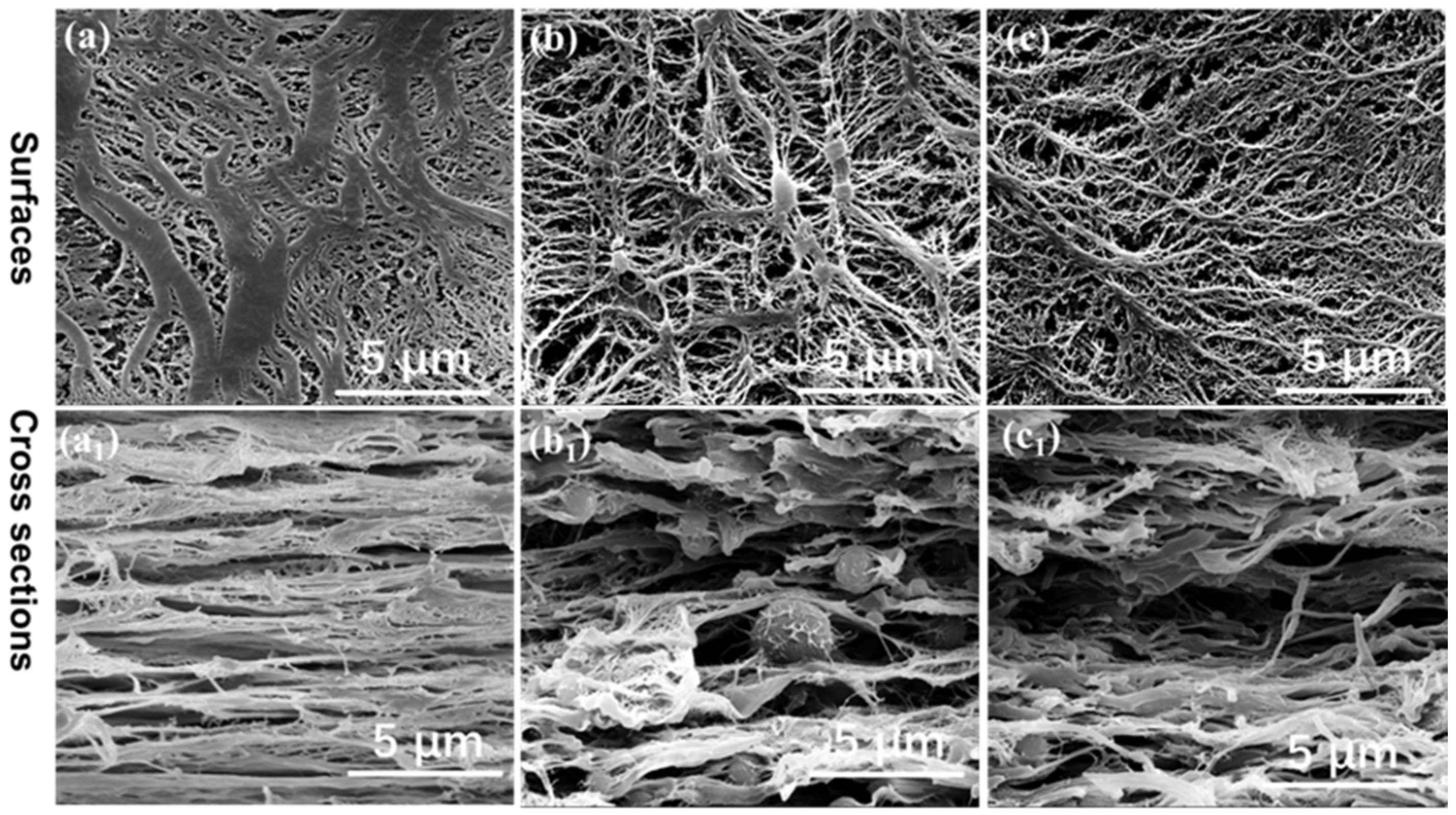 Polymers 14 02291 g011