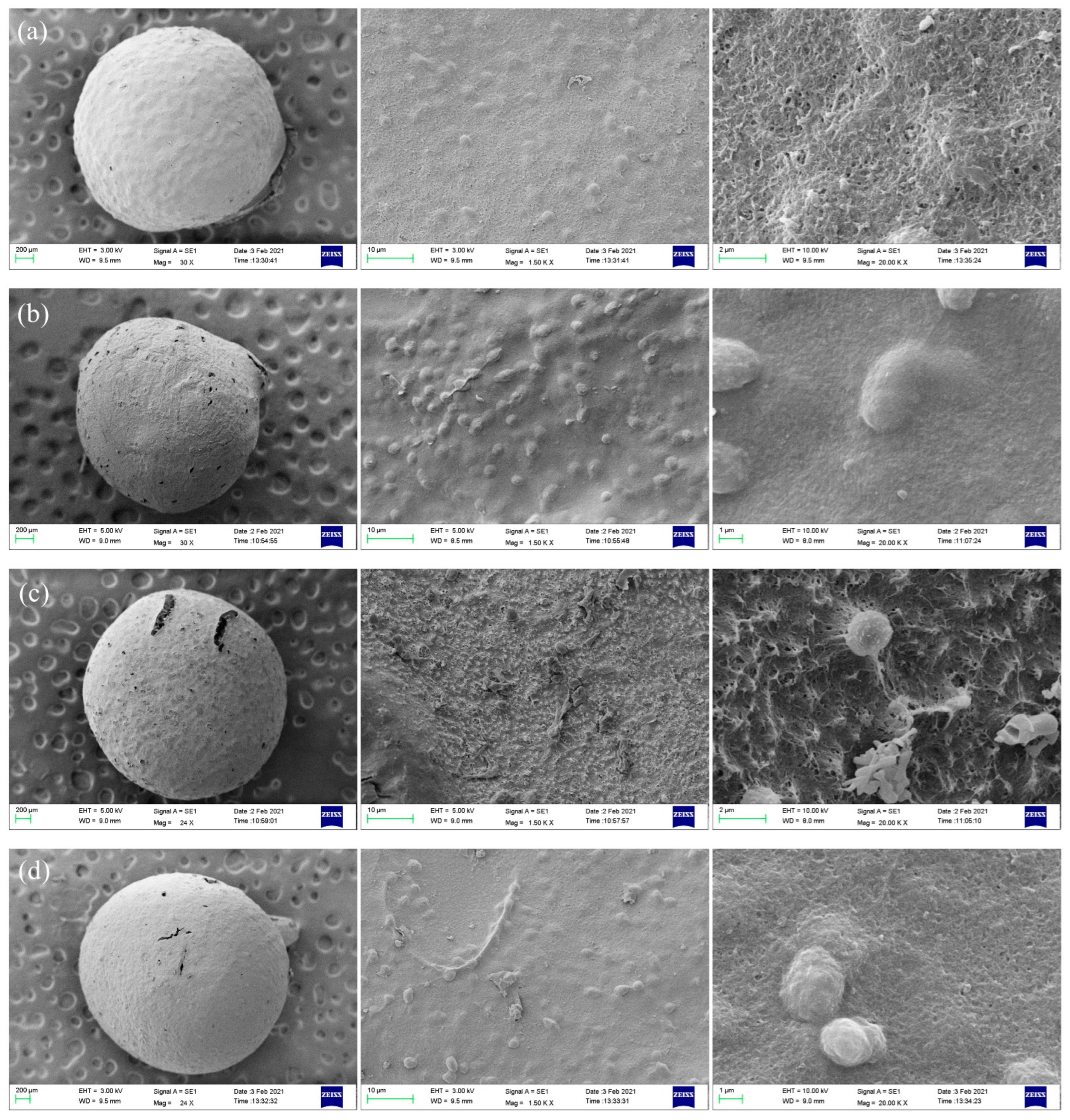 Polymers 14 02292 g004a