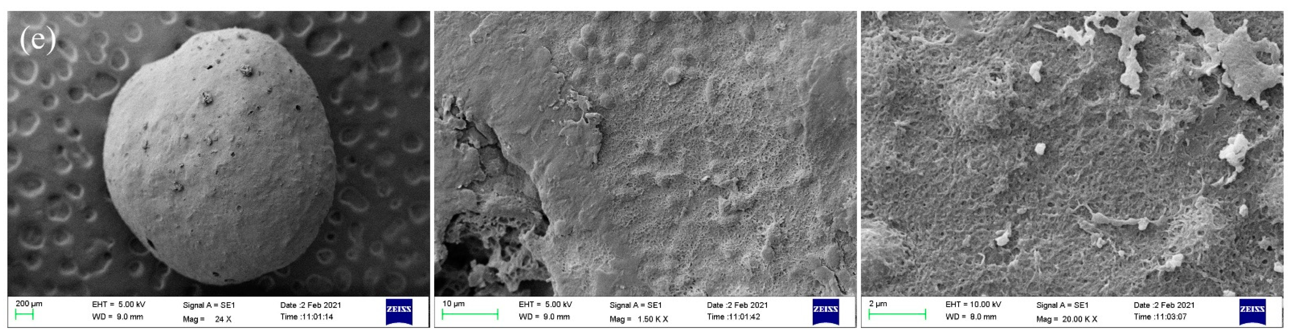 Polymers 14 02292 g004b