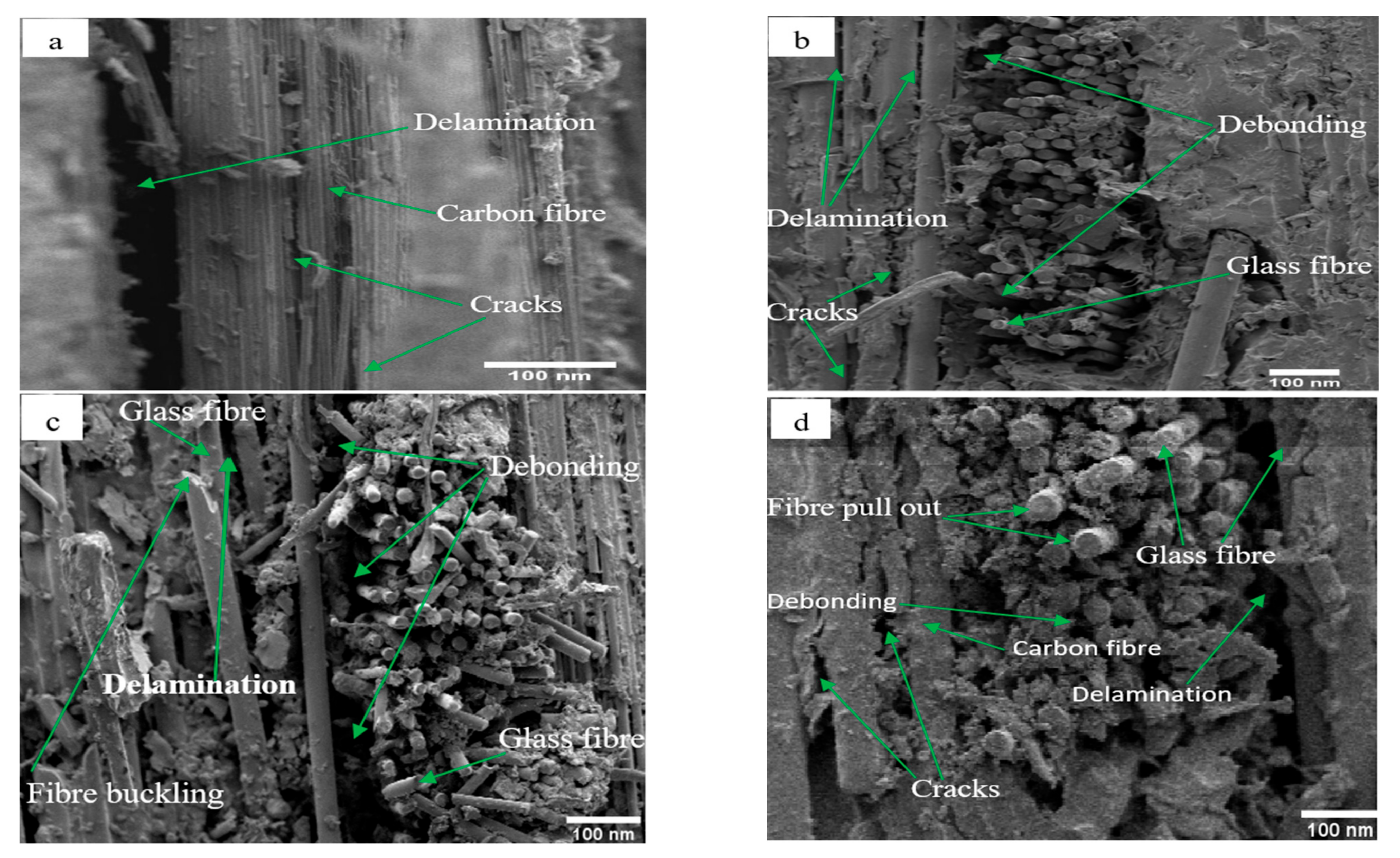 Polymers 14 02296 g008 550