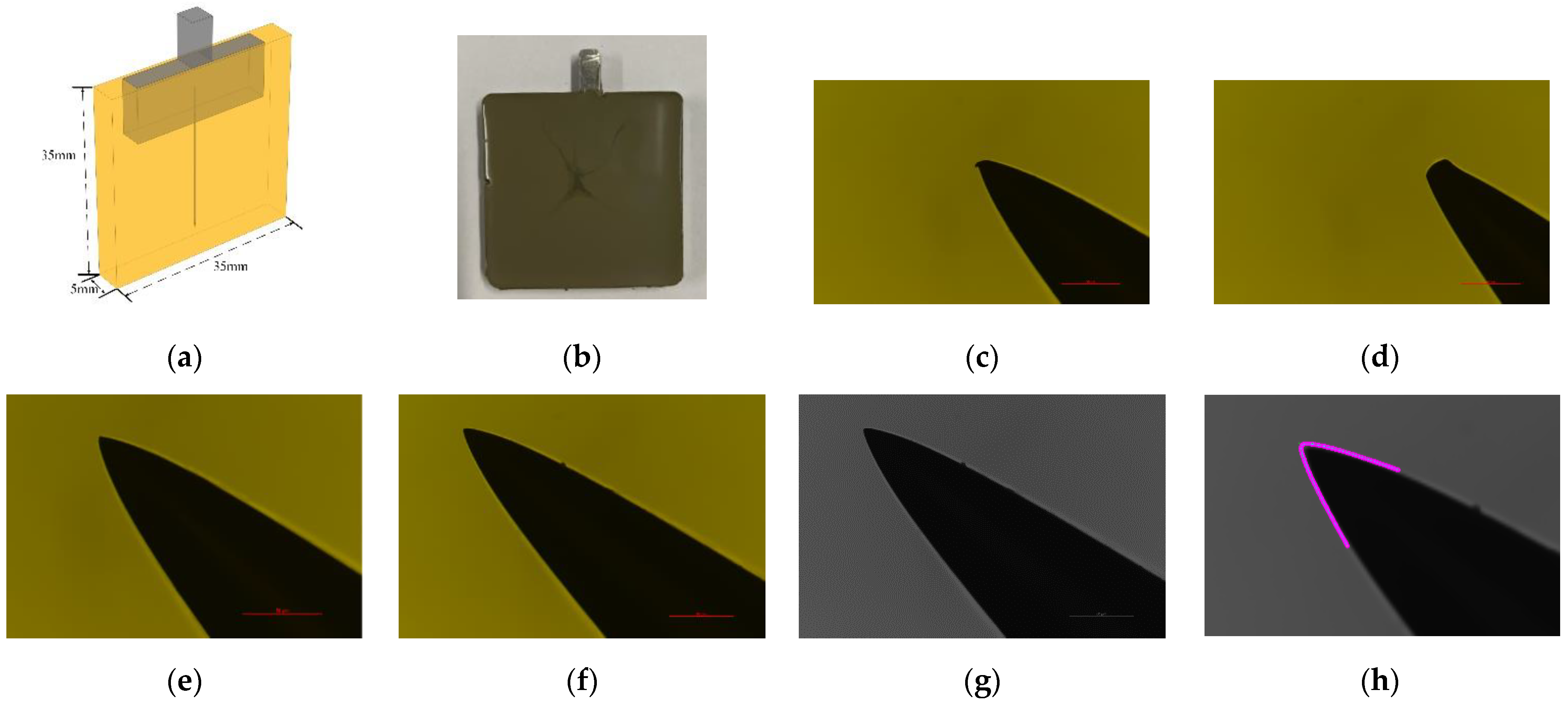 Polymers 14 02297 g003 550