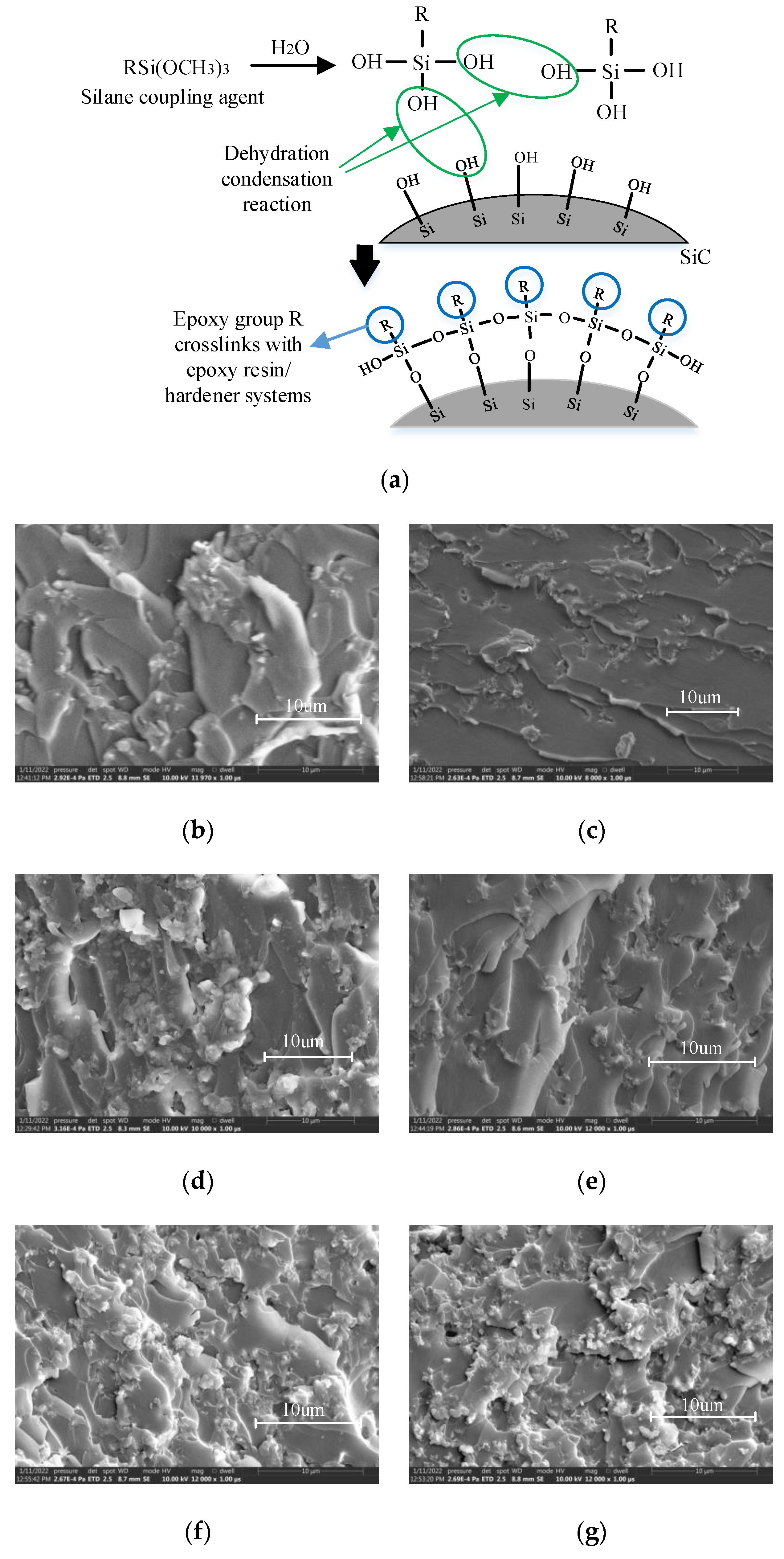 Polymers 14 02297 g008 550