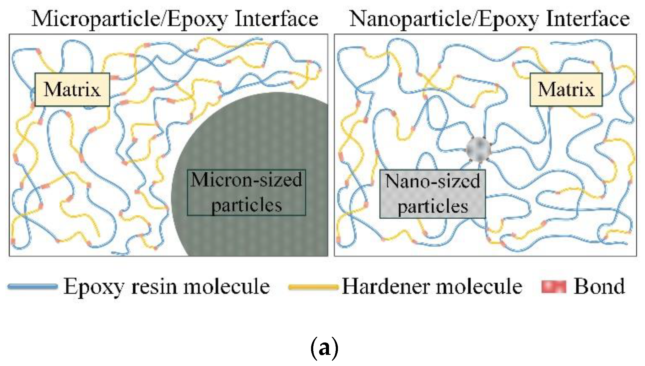 Polymers 14 02297 g011a 550