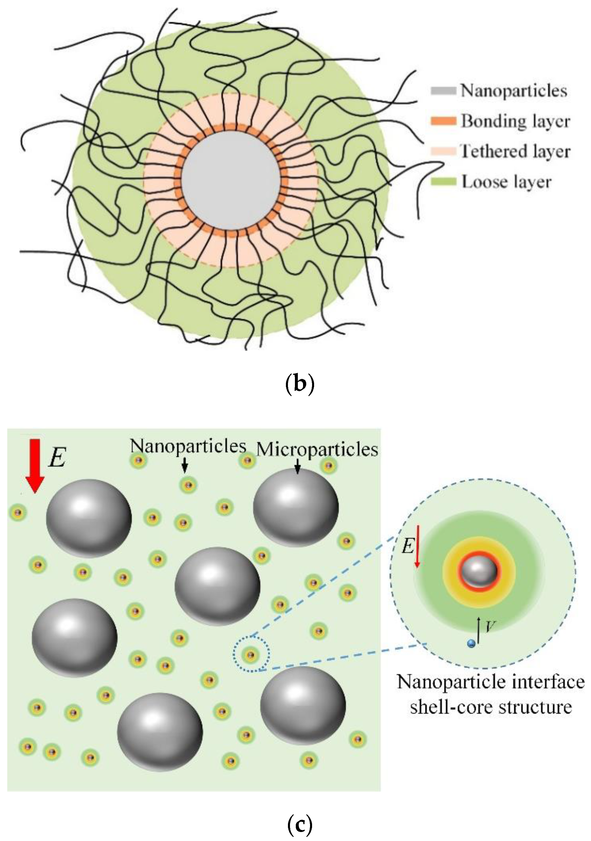 Polymers 14 02297 g011b 550