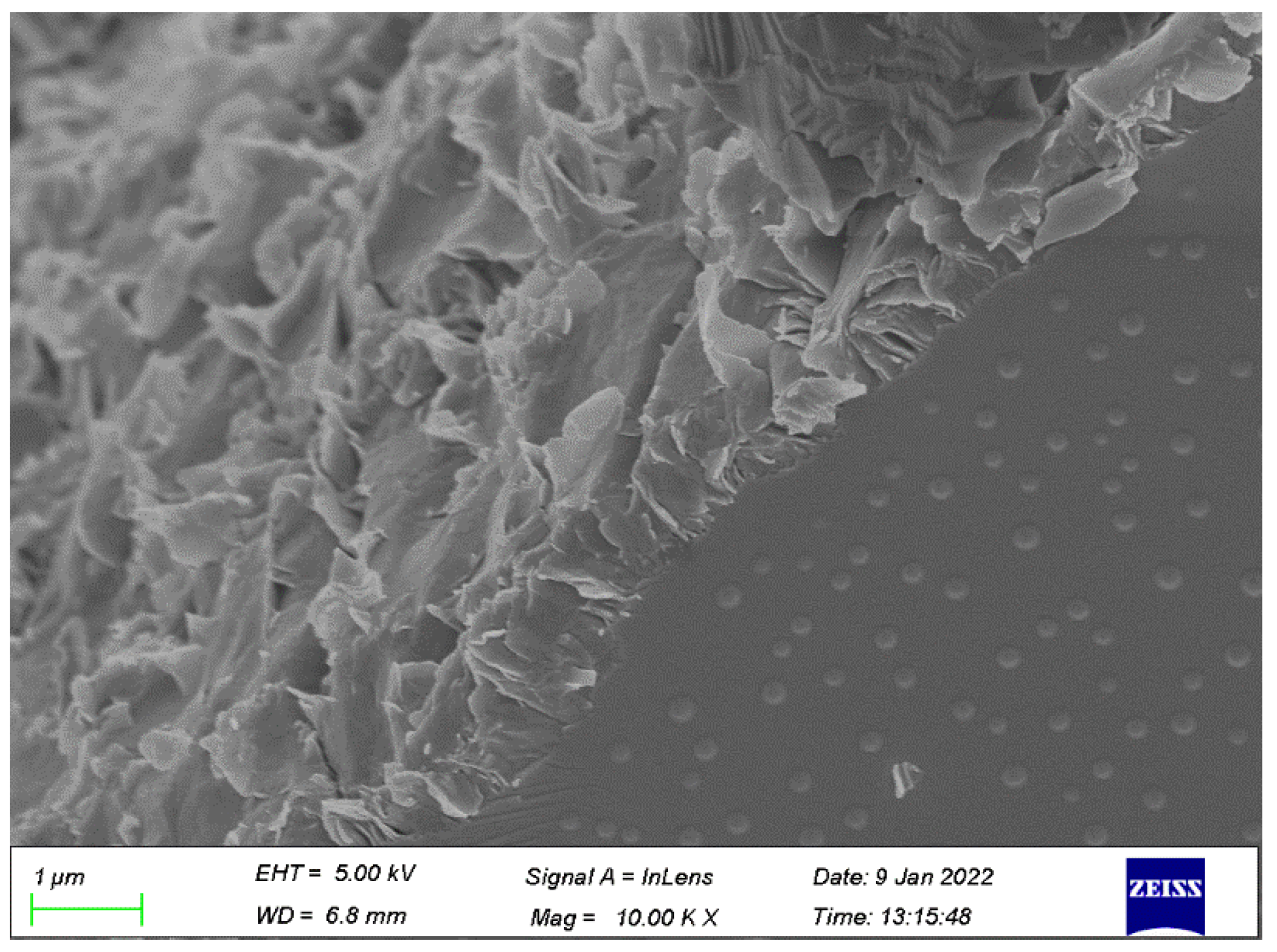 Polymers 14 02298 g008 550
