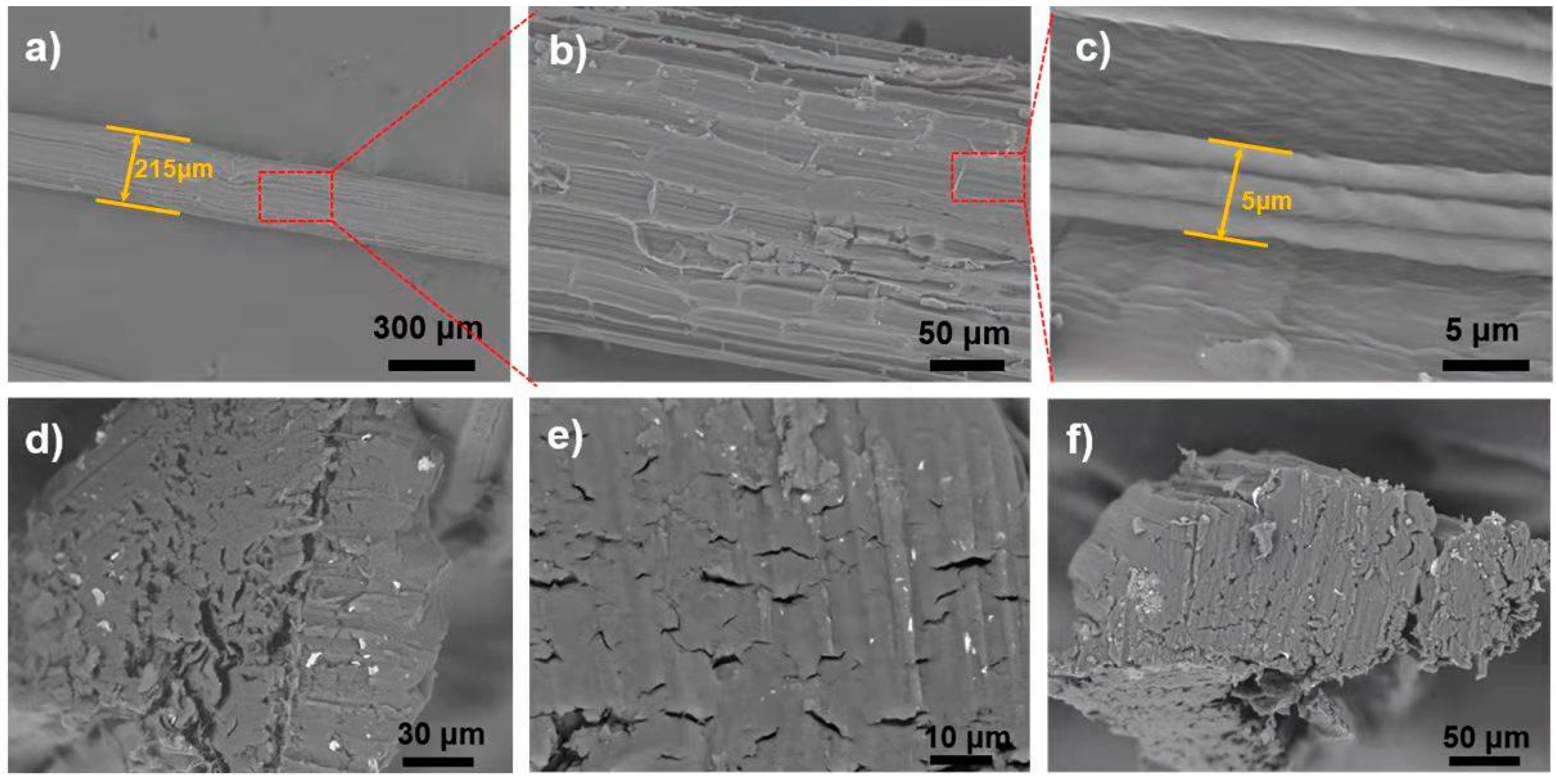 Polymers 14 02299 g001