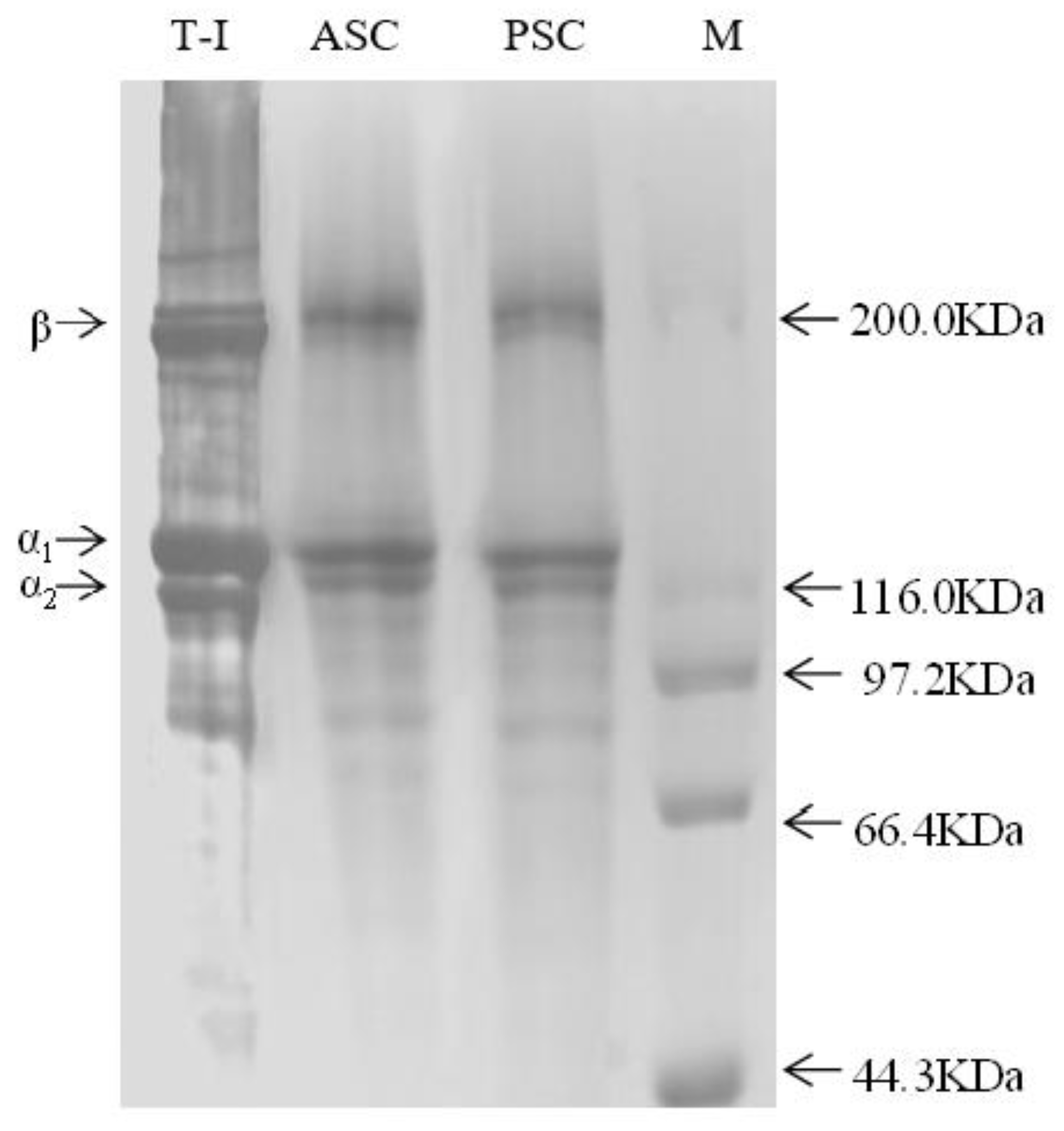 Polymers 14 02300 g001 550