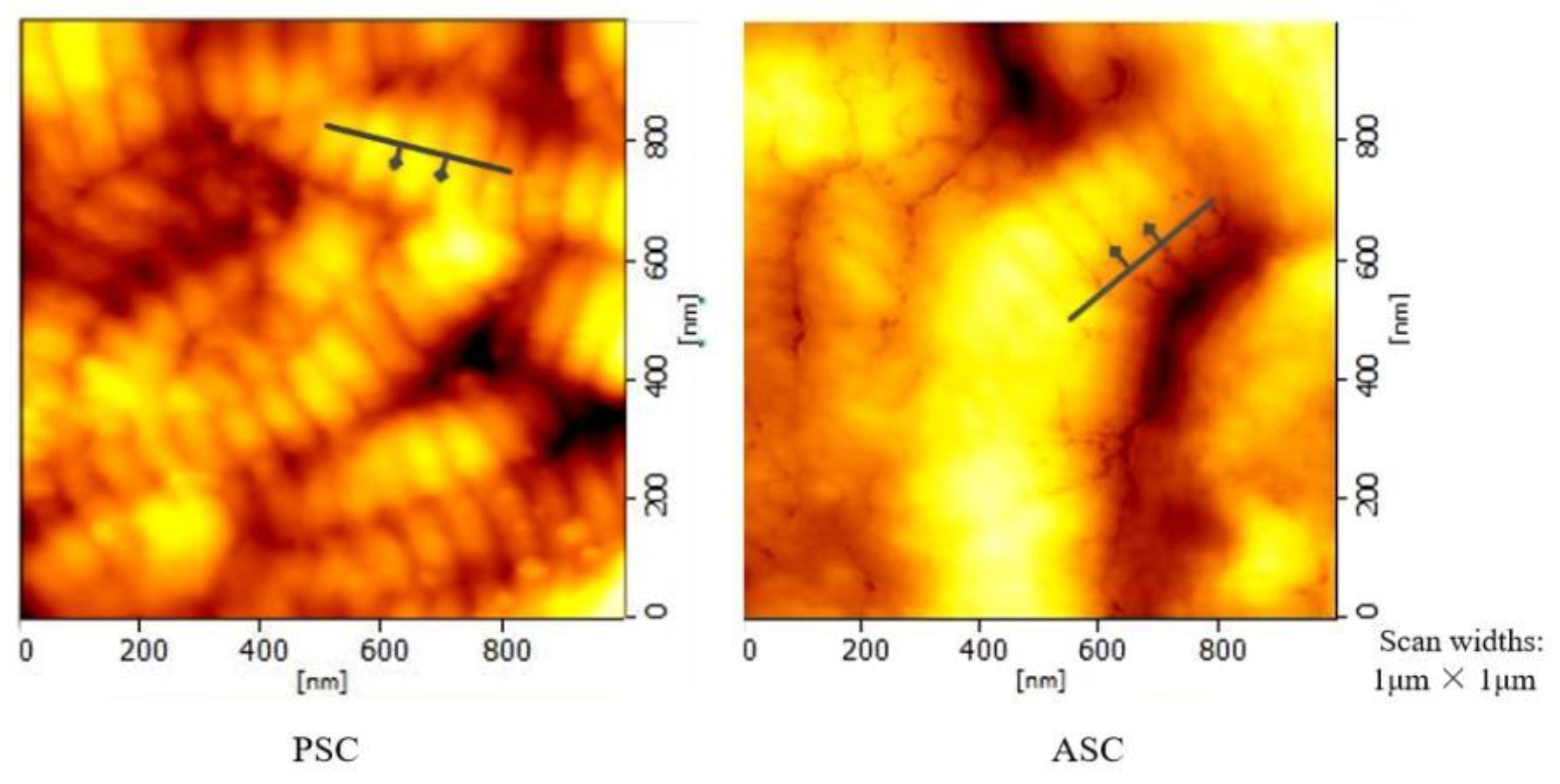 Polymers 14 02300 g002 550