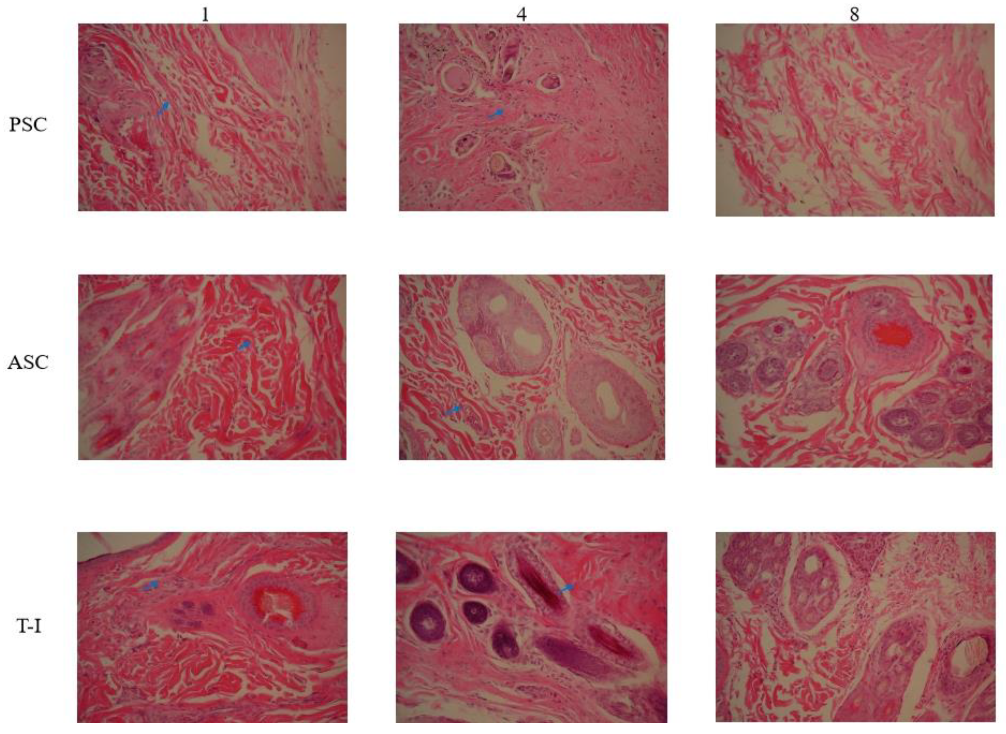 Polymers 14 02300 g006 550