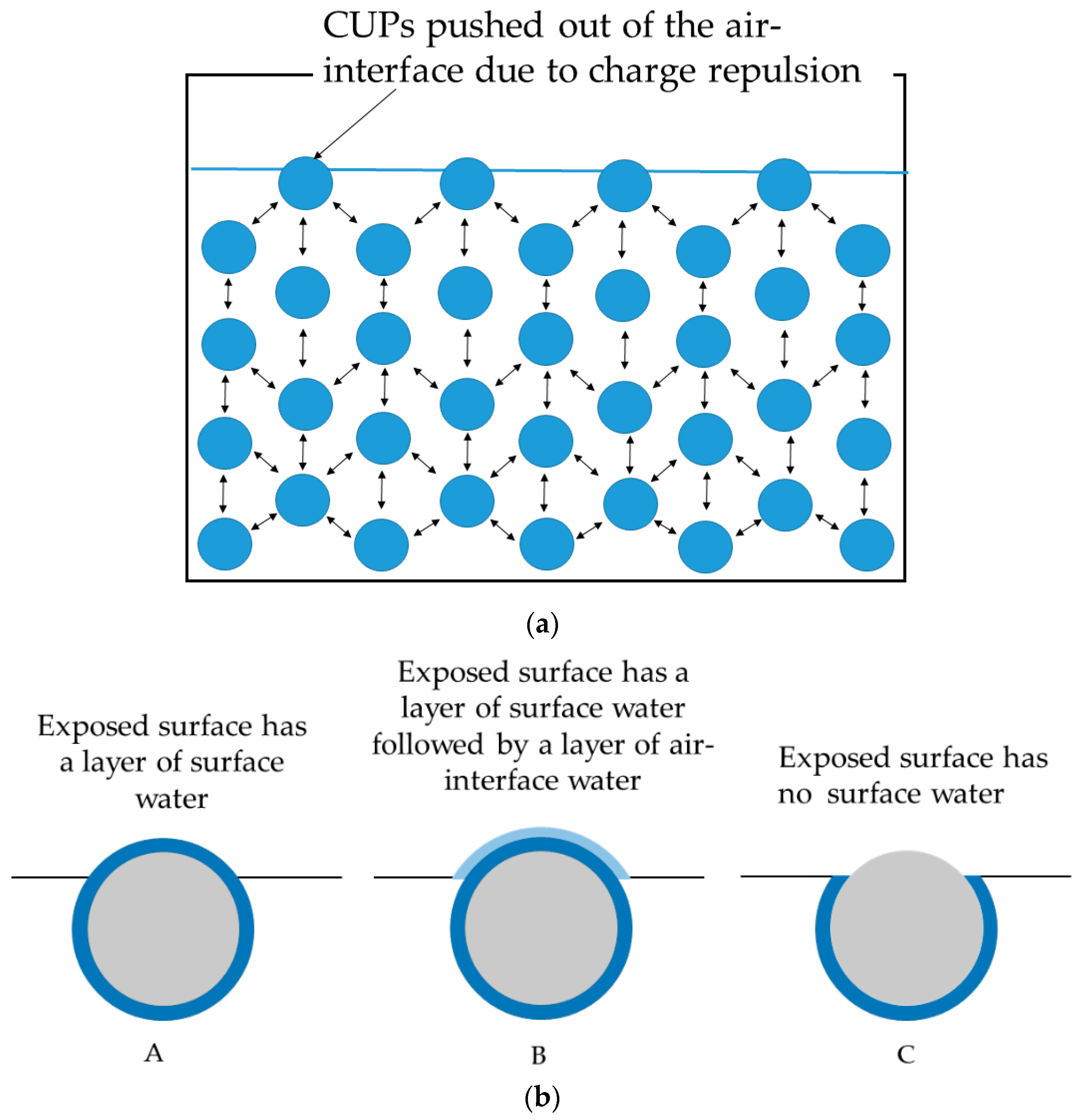 Polymers 14 02302 g005