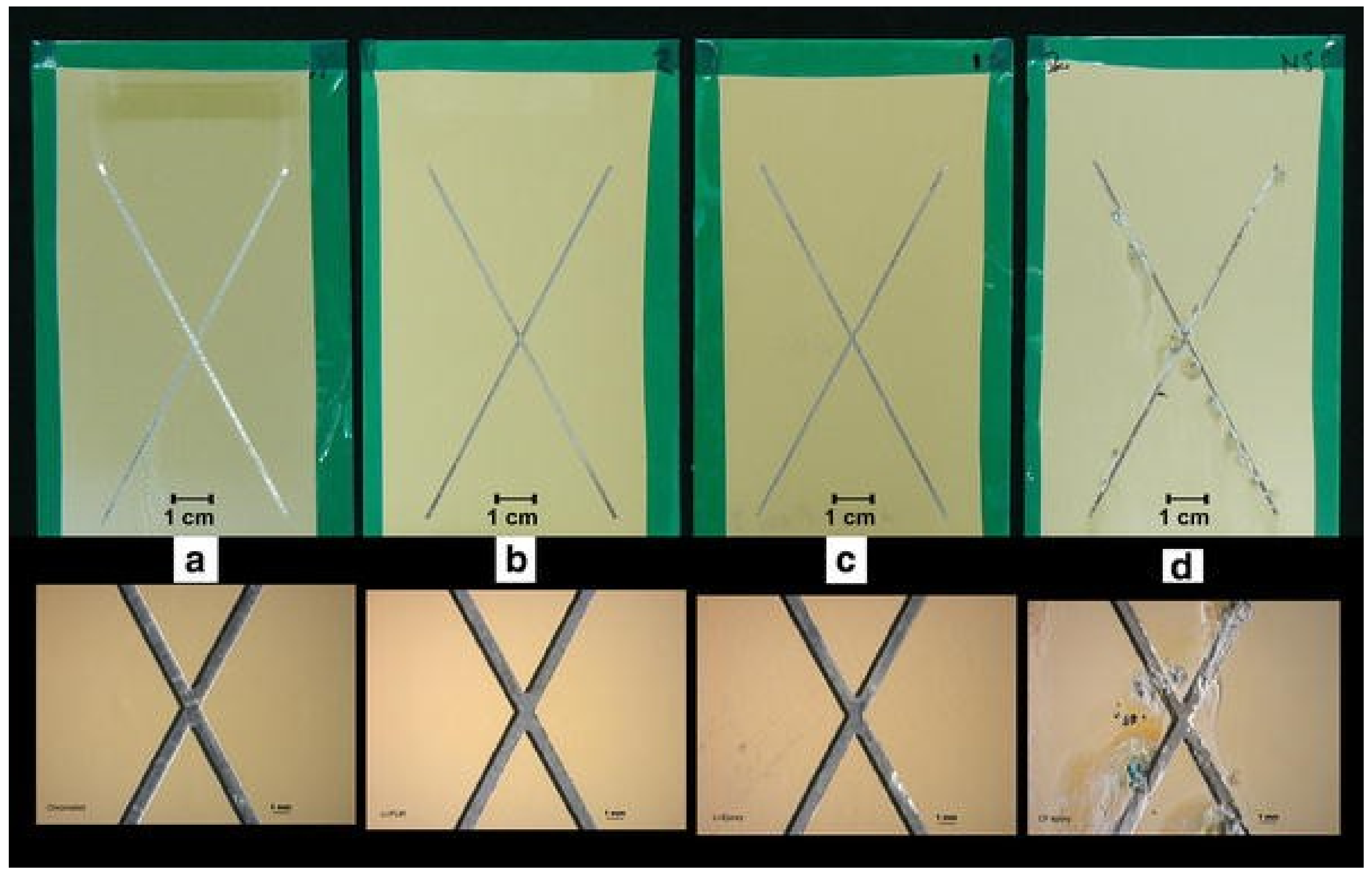 Polymers 14 02306 g004