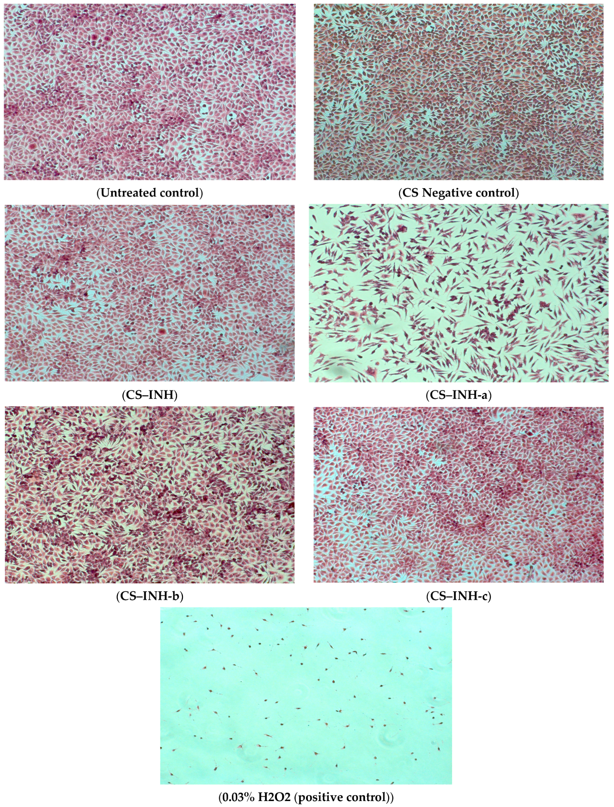 Polymers 14 02310 g007
