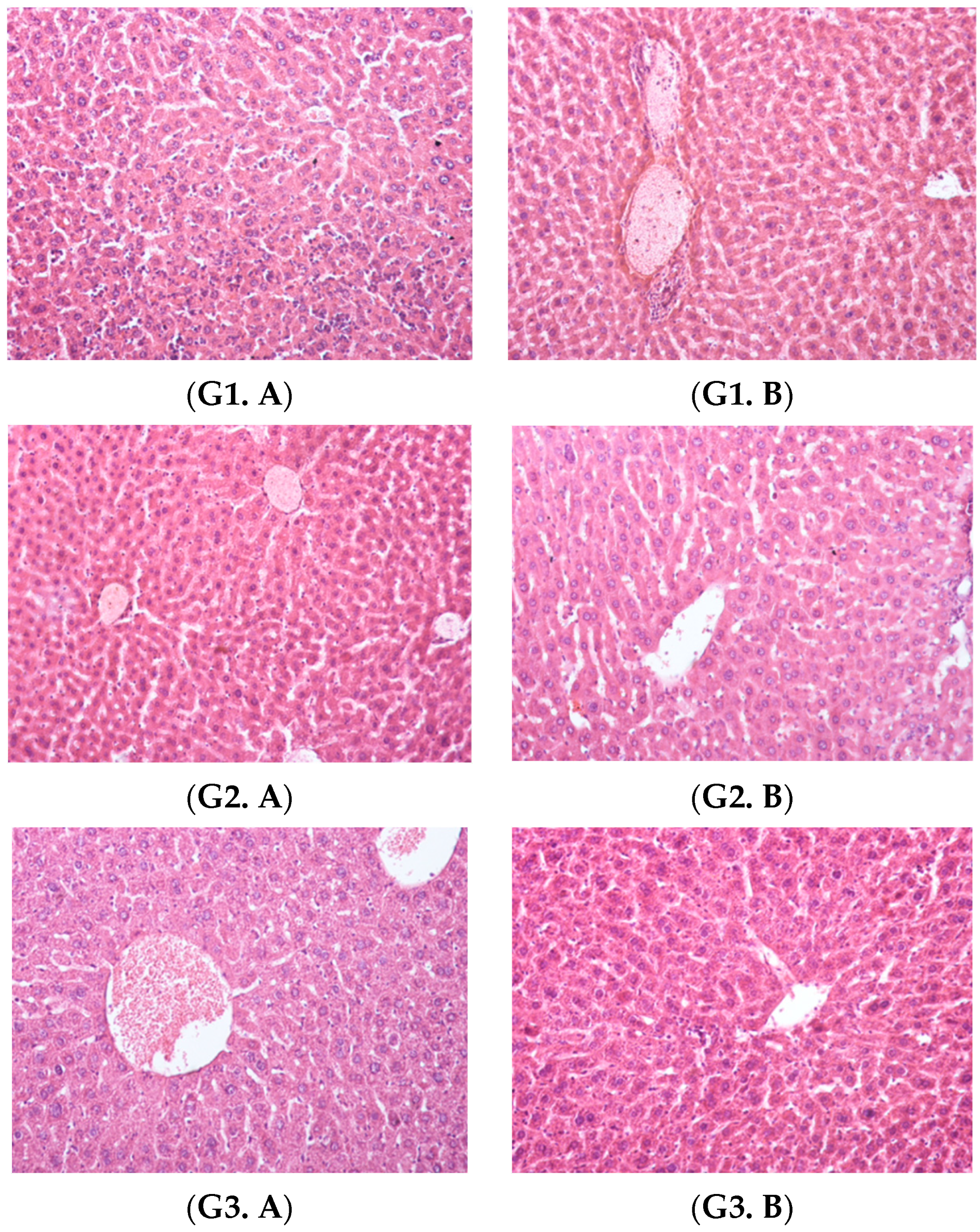 Polymers 14 02310 g008a