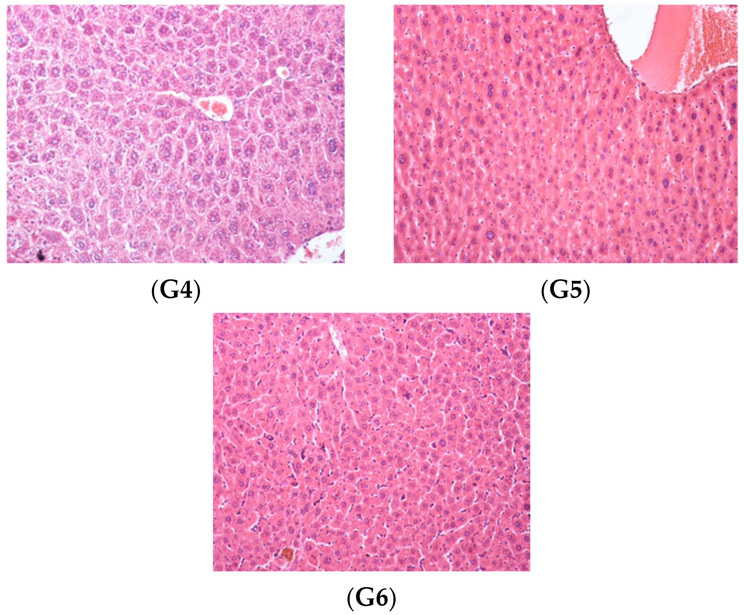 Polymers 14 02310 g008b
