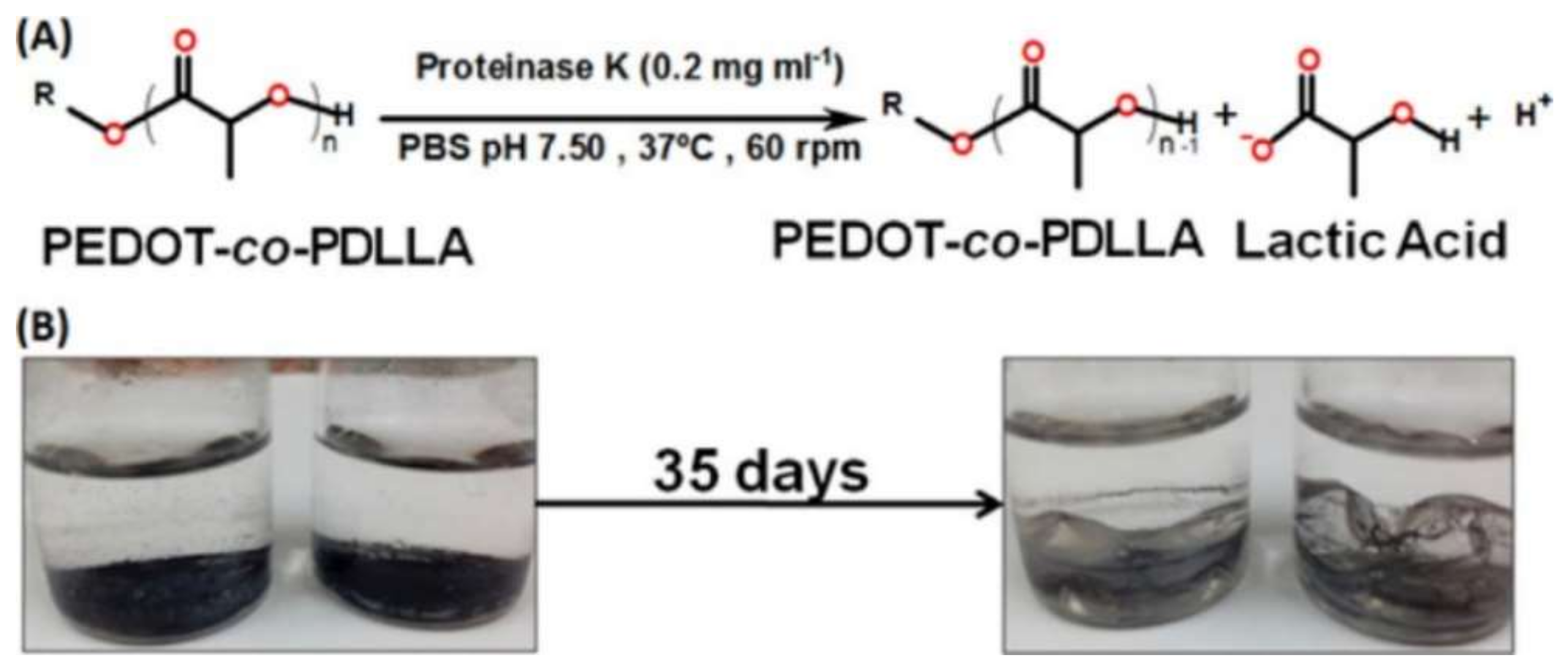 Polymers 14 02317 g007