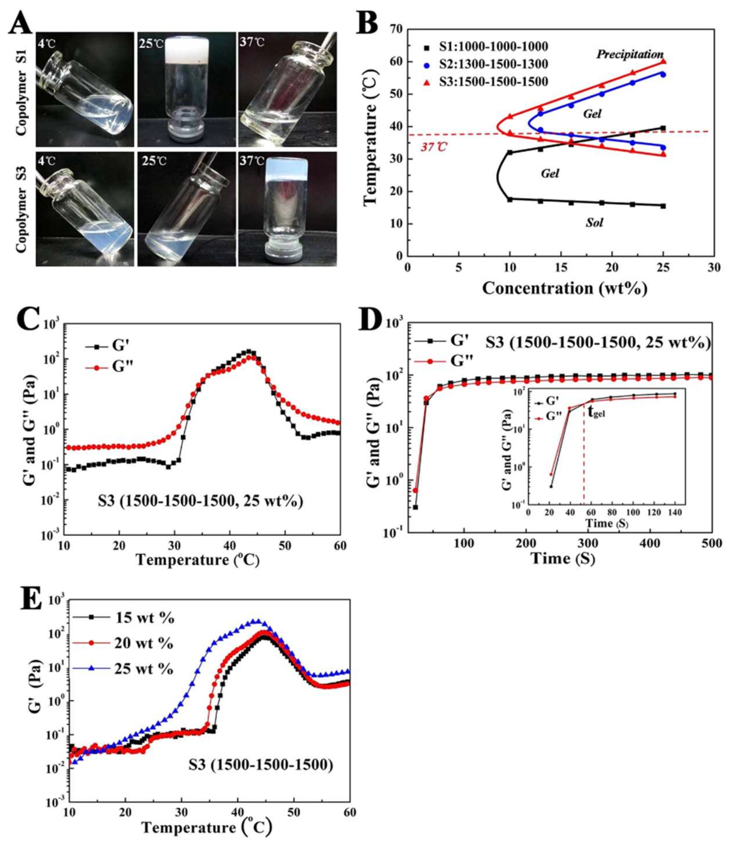 Polymers 14 02317 g008