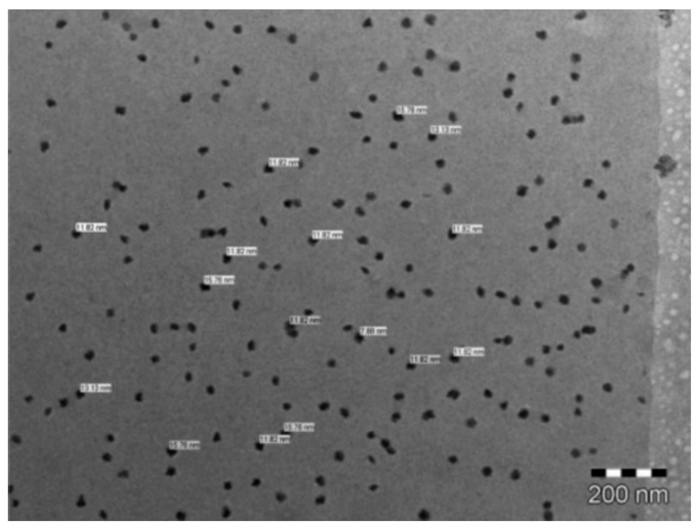 Polymers 14 02317 g009