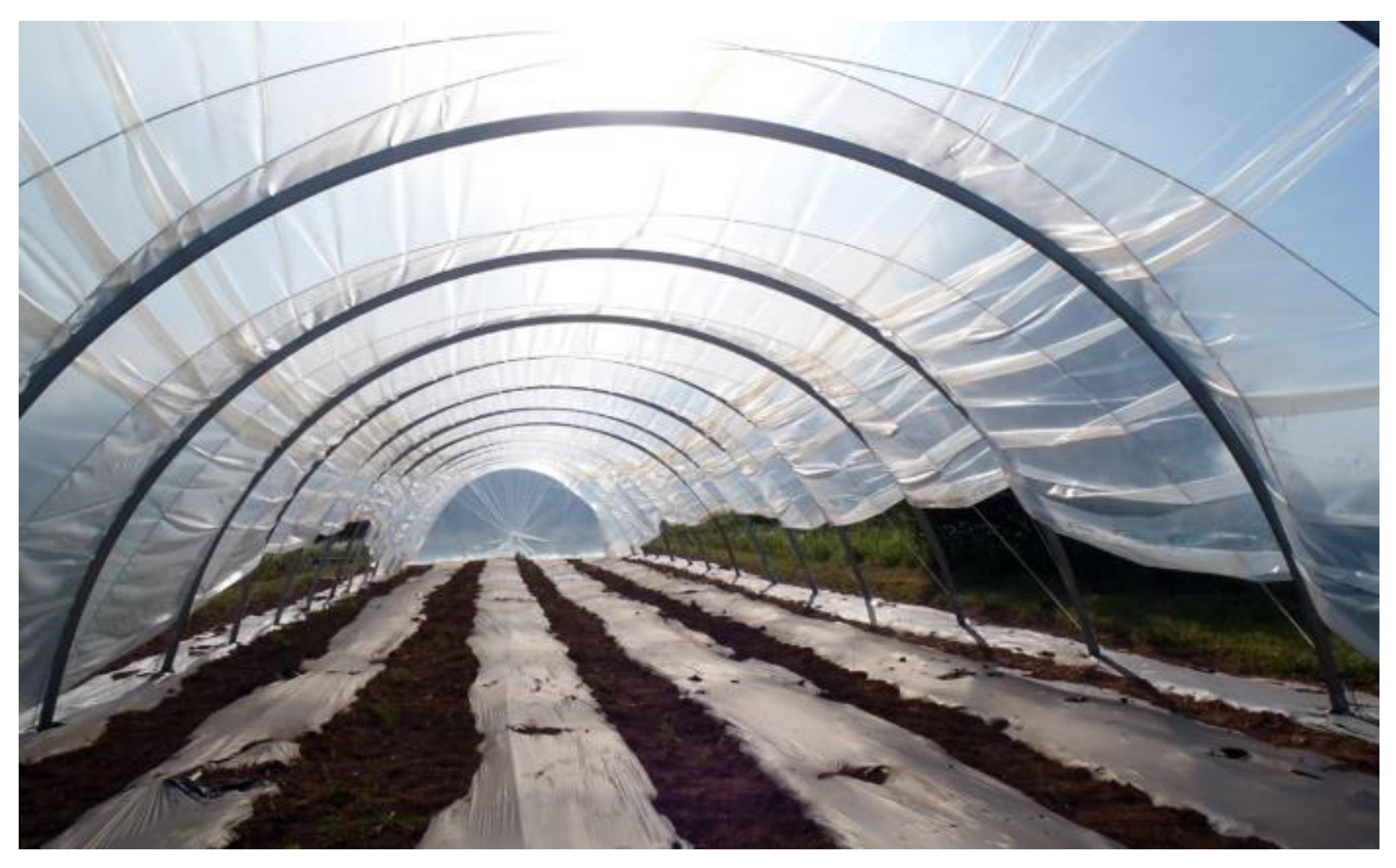 Polymers 14 02319 g015 550