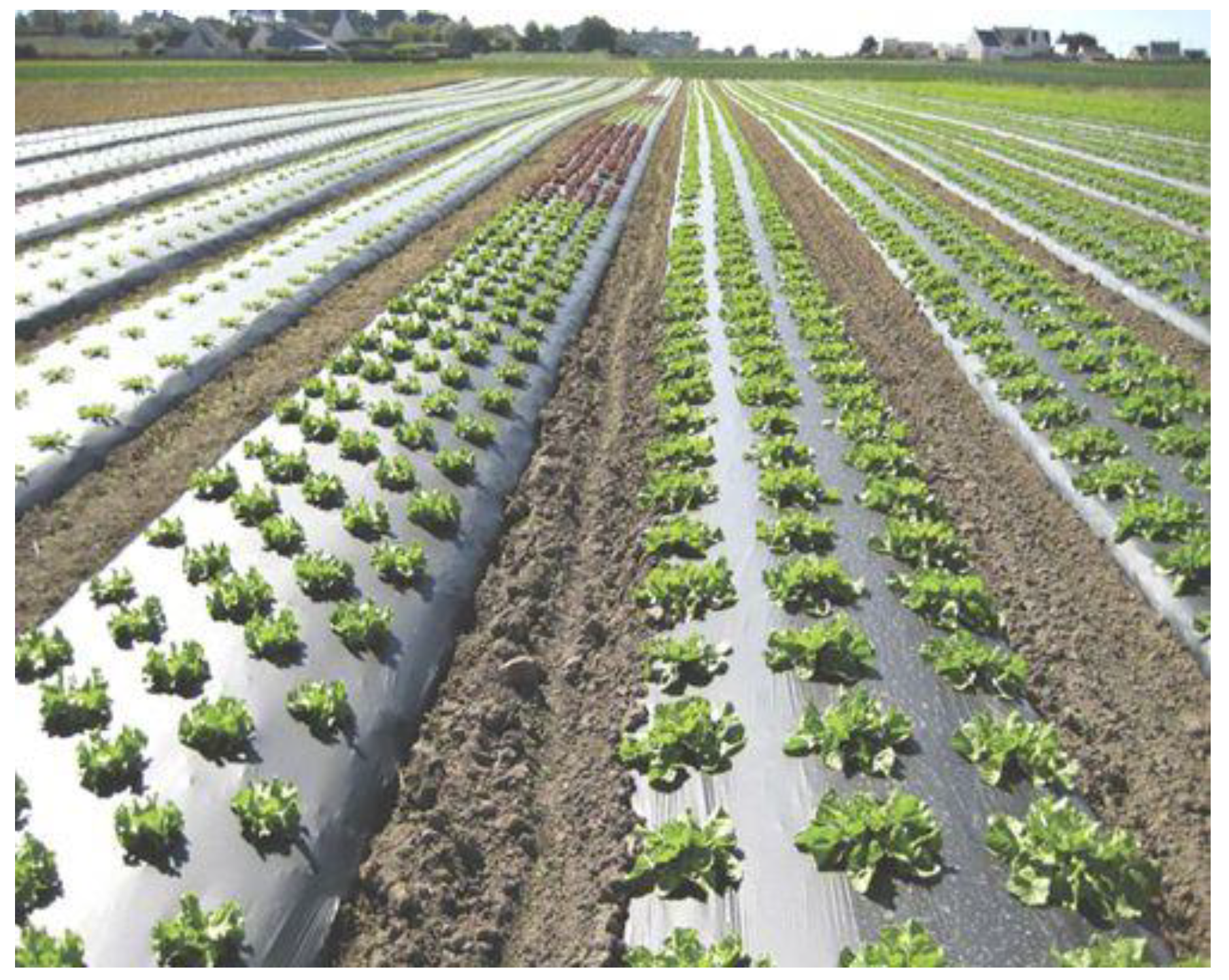 Polymers 14 02319 g016 550