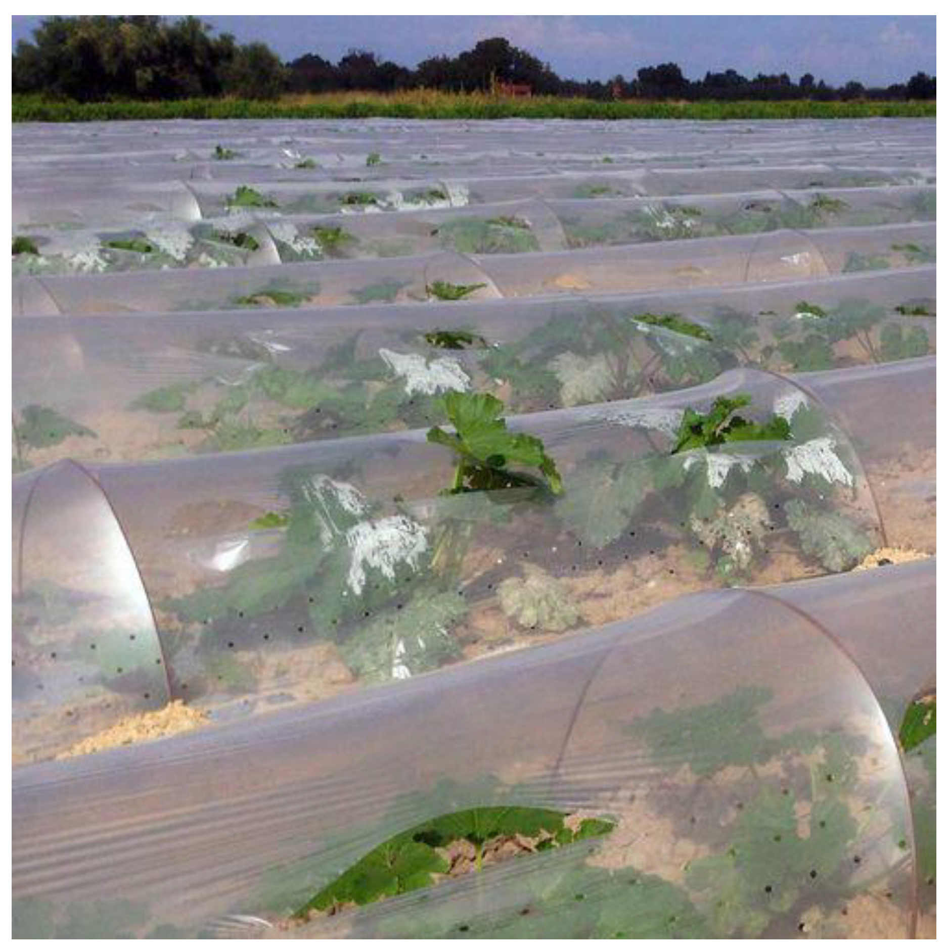 Polymers 14 02319 g017 550