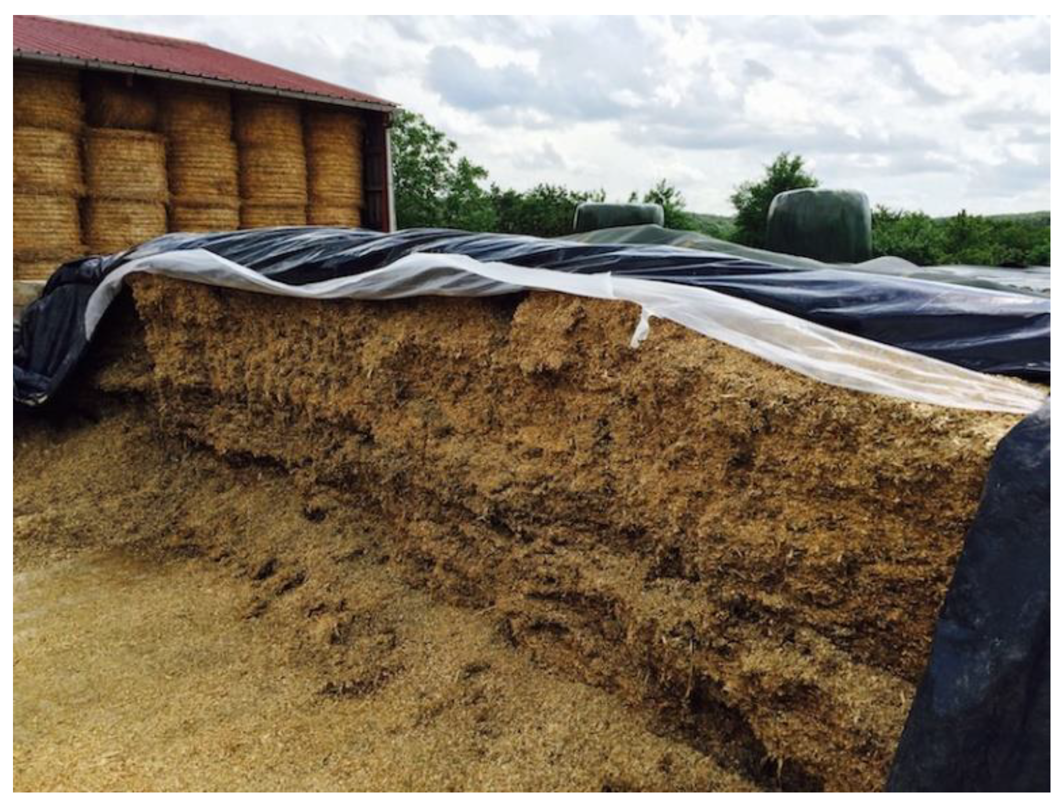 Polymers 14 02319 g018 550