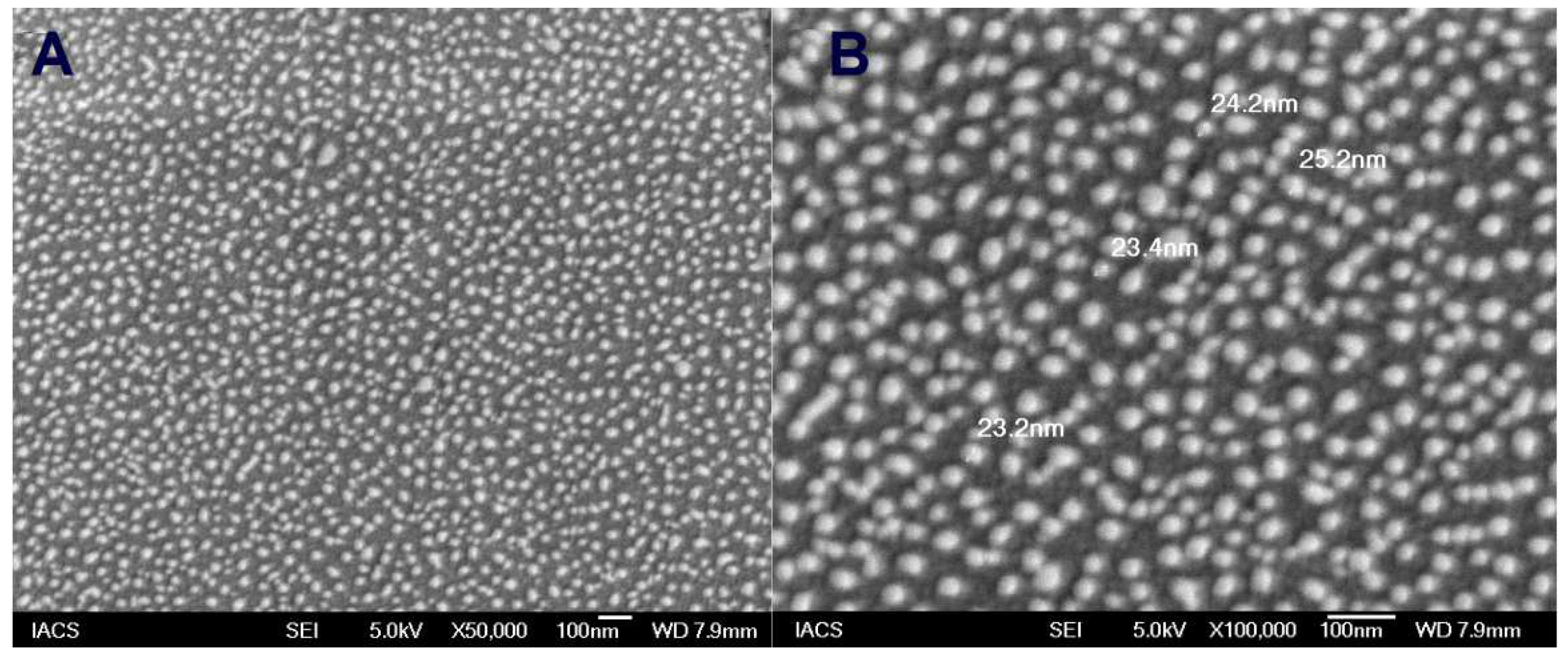 Polymers 14 02321 g001