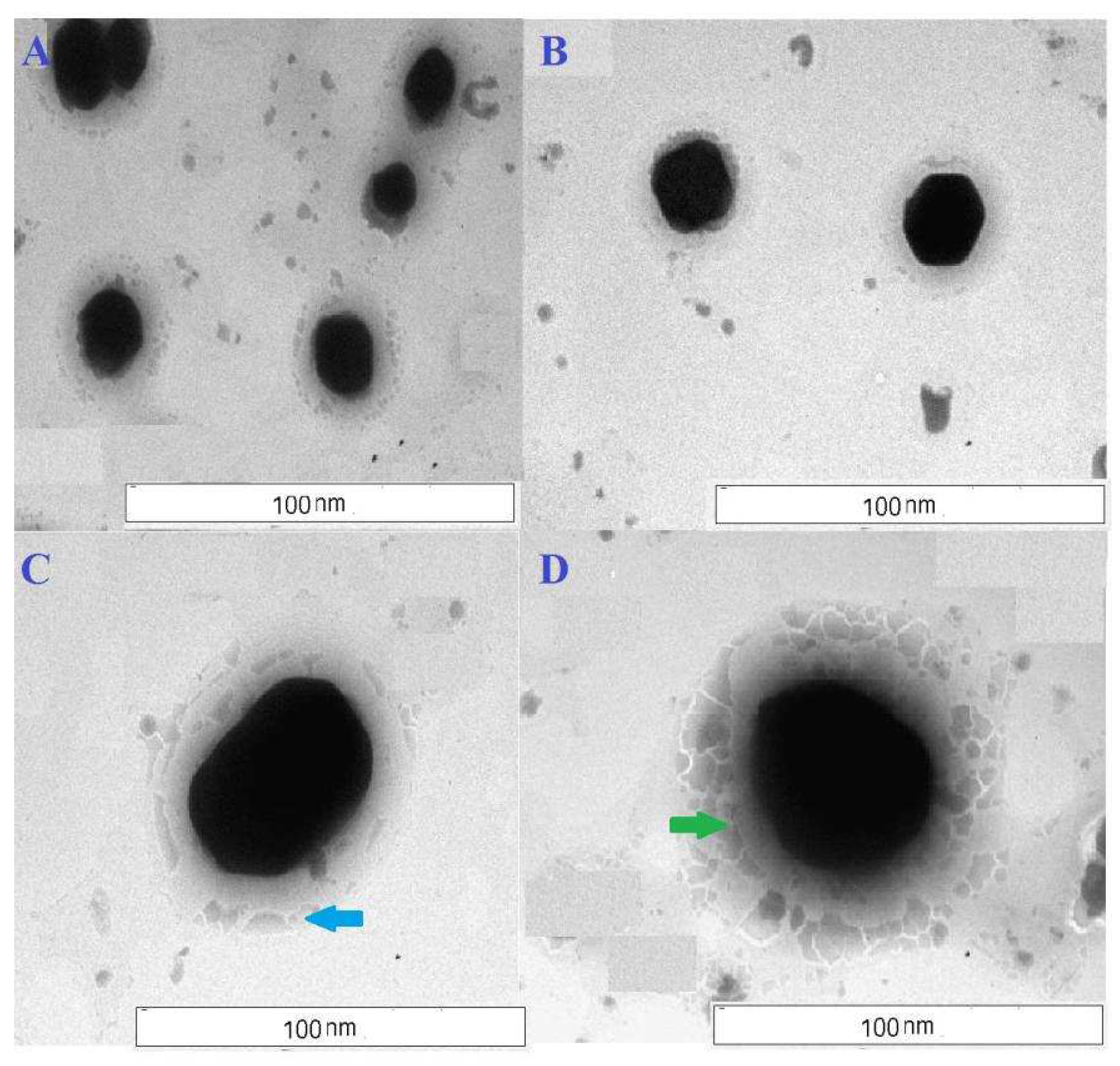 Polymers 14 02321 g002
