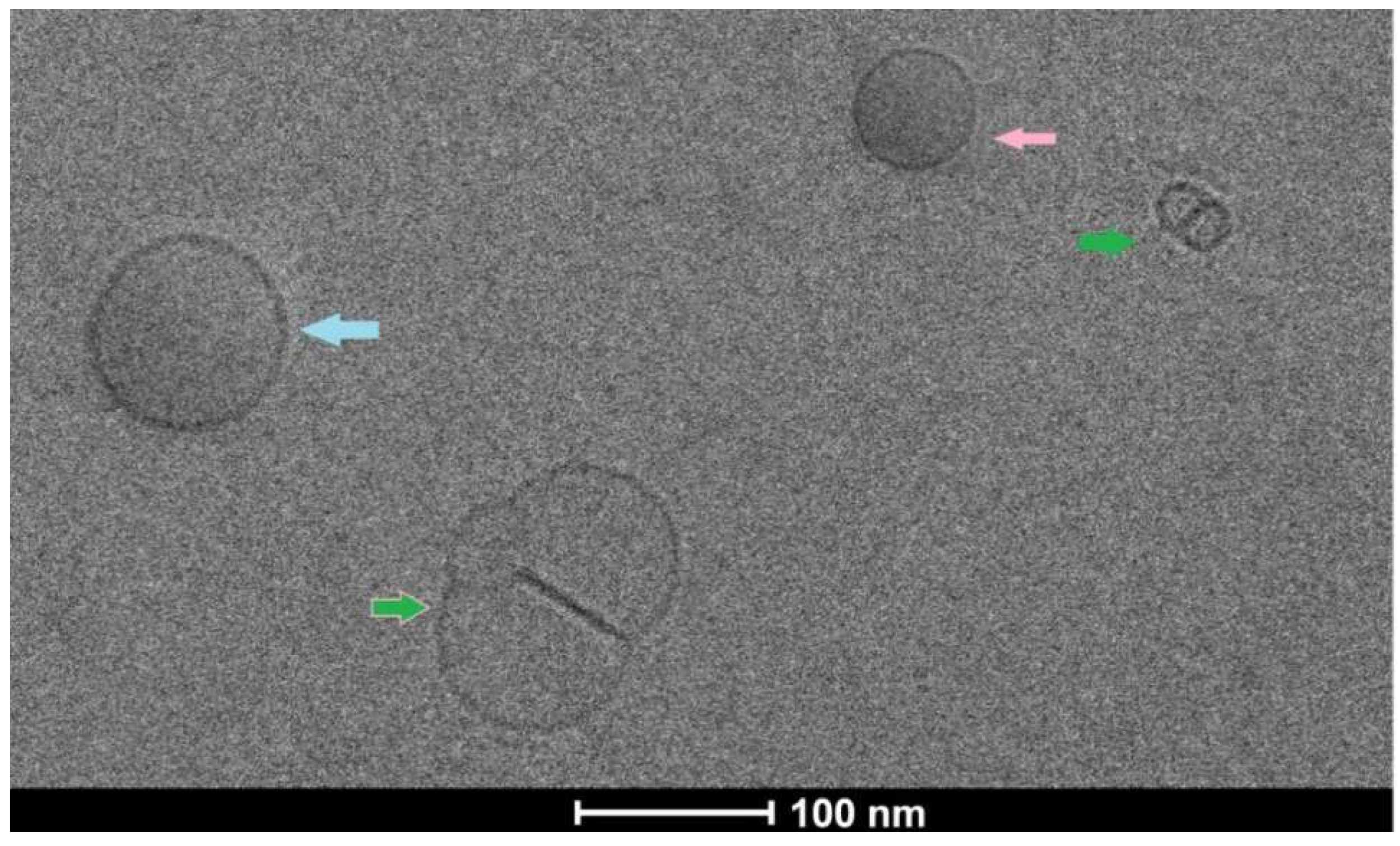 Polymers 14 02321 g003