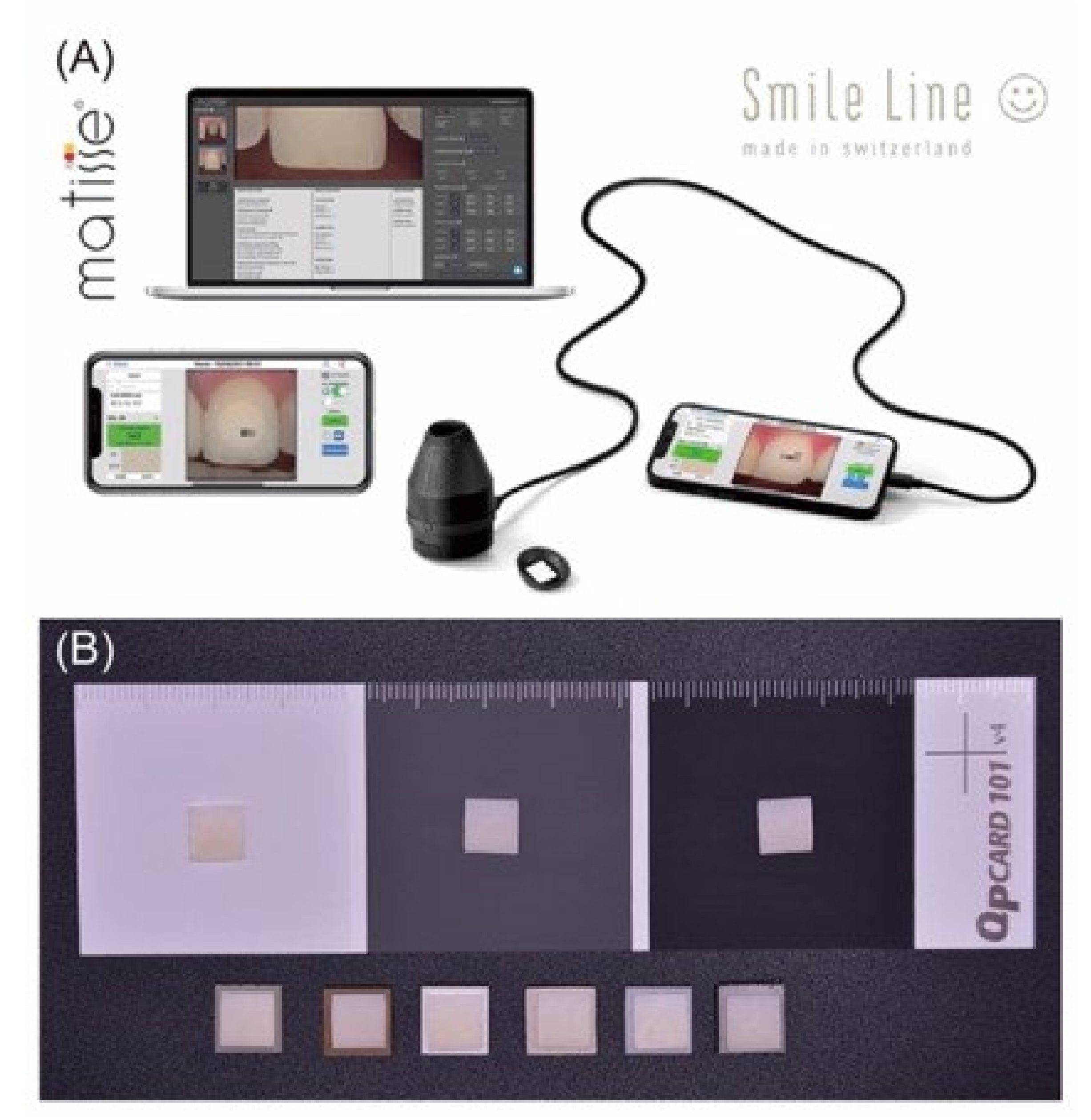 Polymers 14 02325 g002