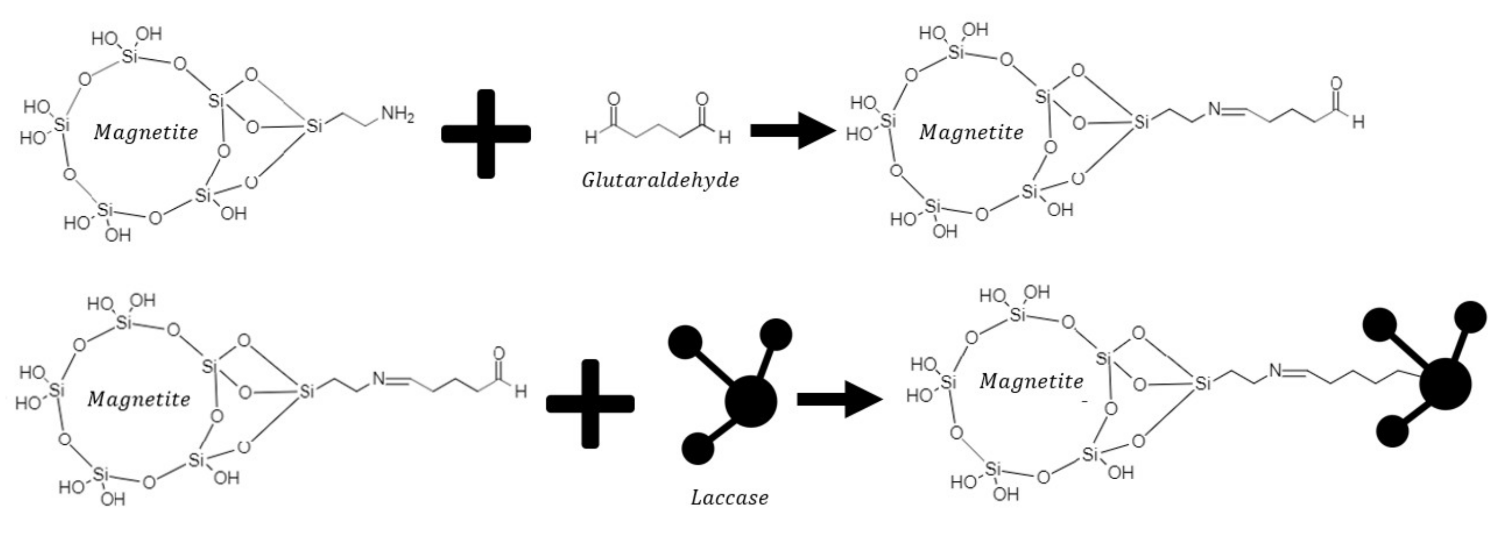 Polymers 14 02328 g001
