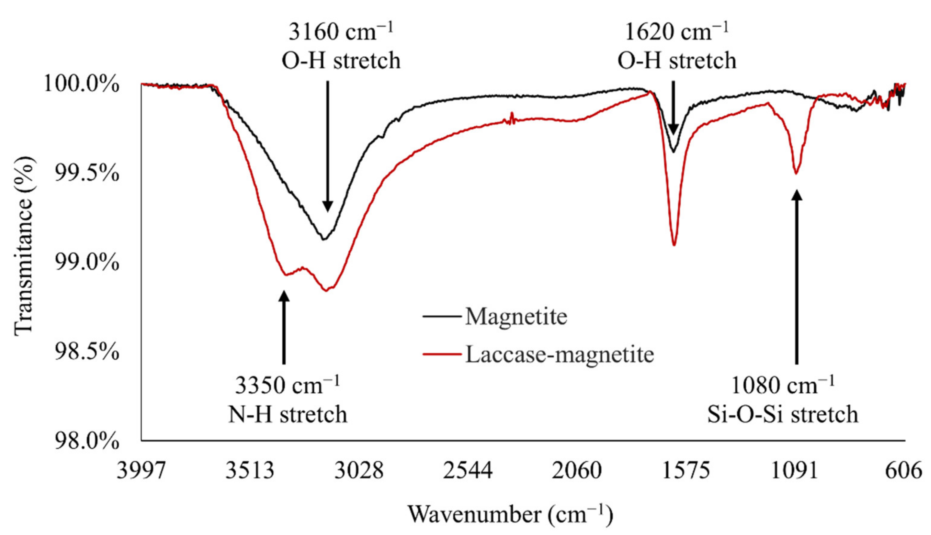 Polymers 14 02328 g005
