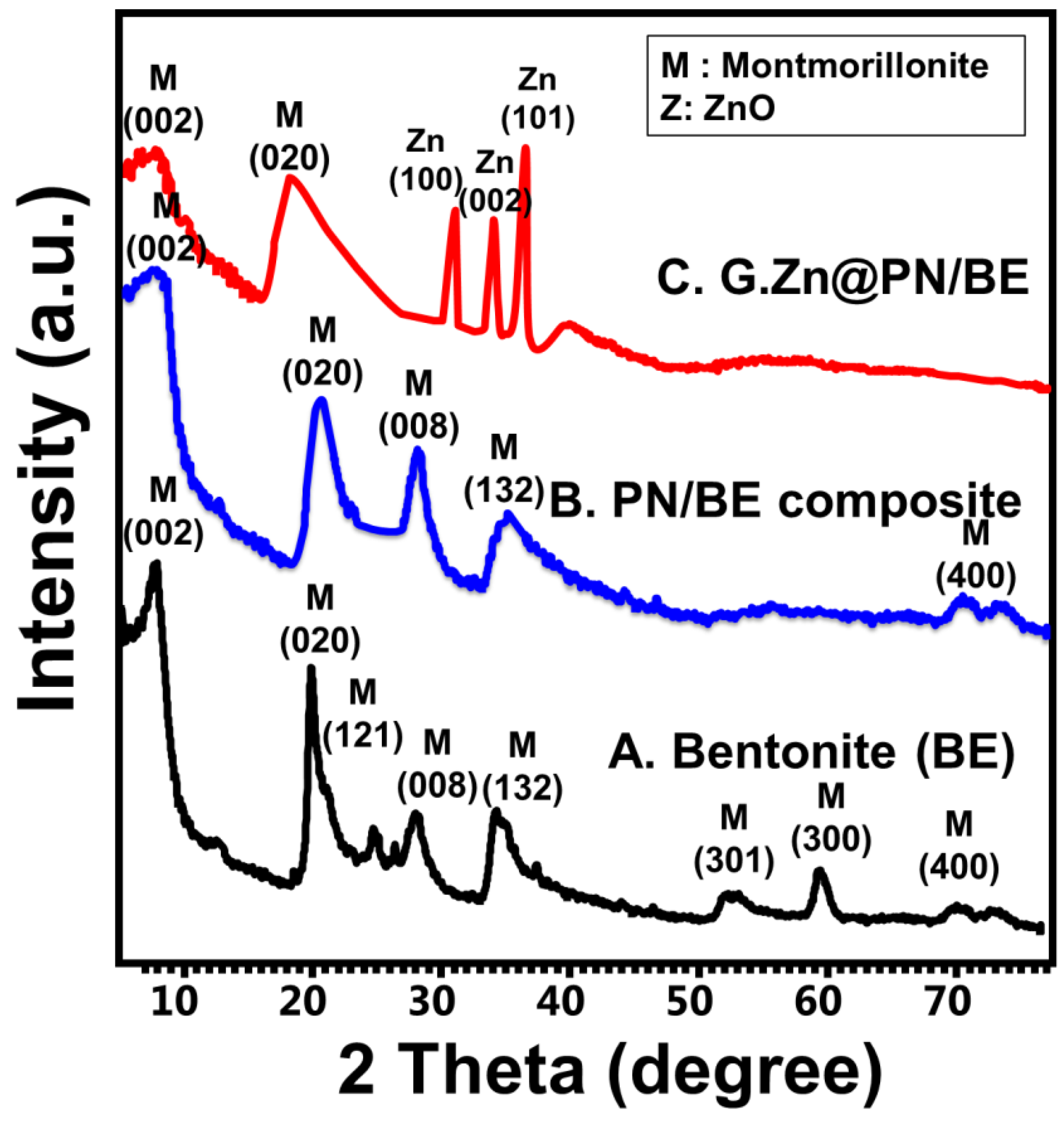 Polymers 14 02329 g001