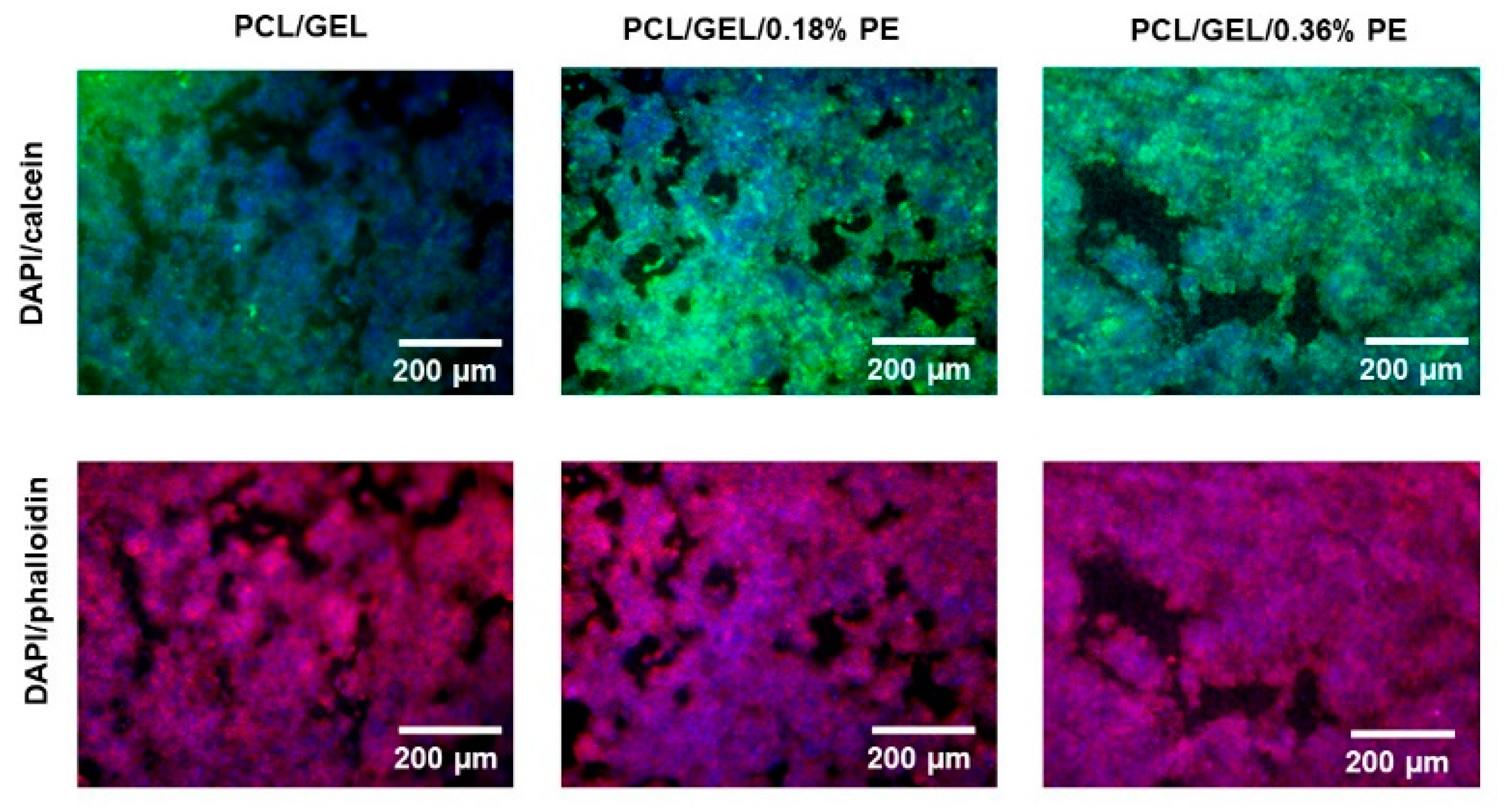 Polymers 14 02331 g007 550