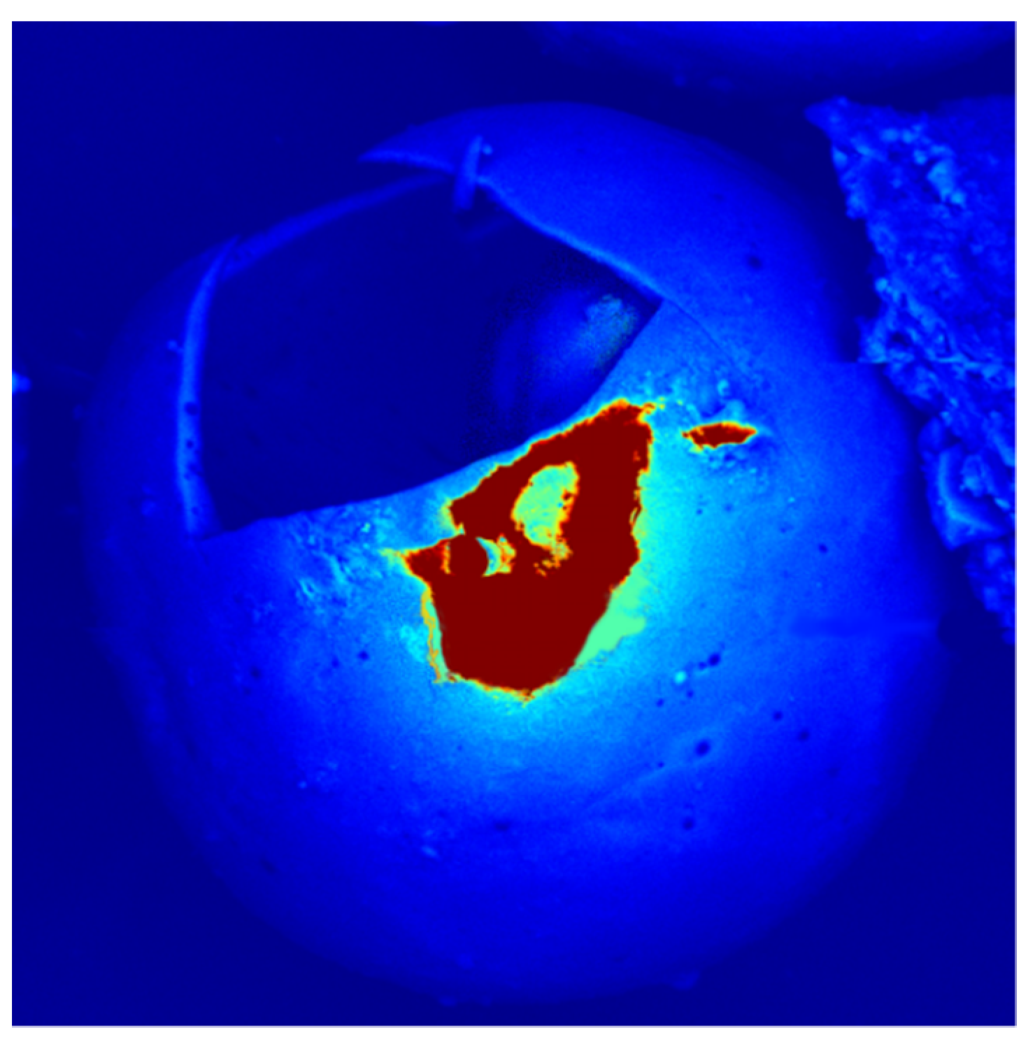 Polymers 14 02332 g005 550