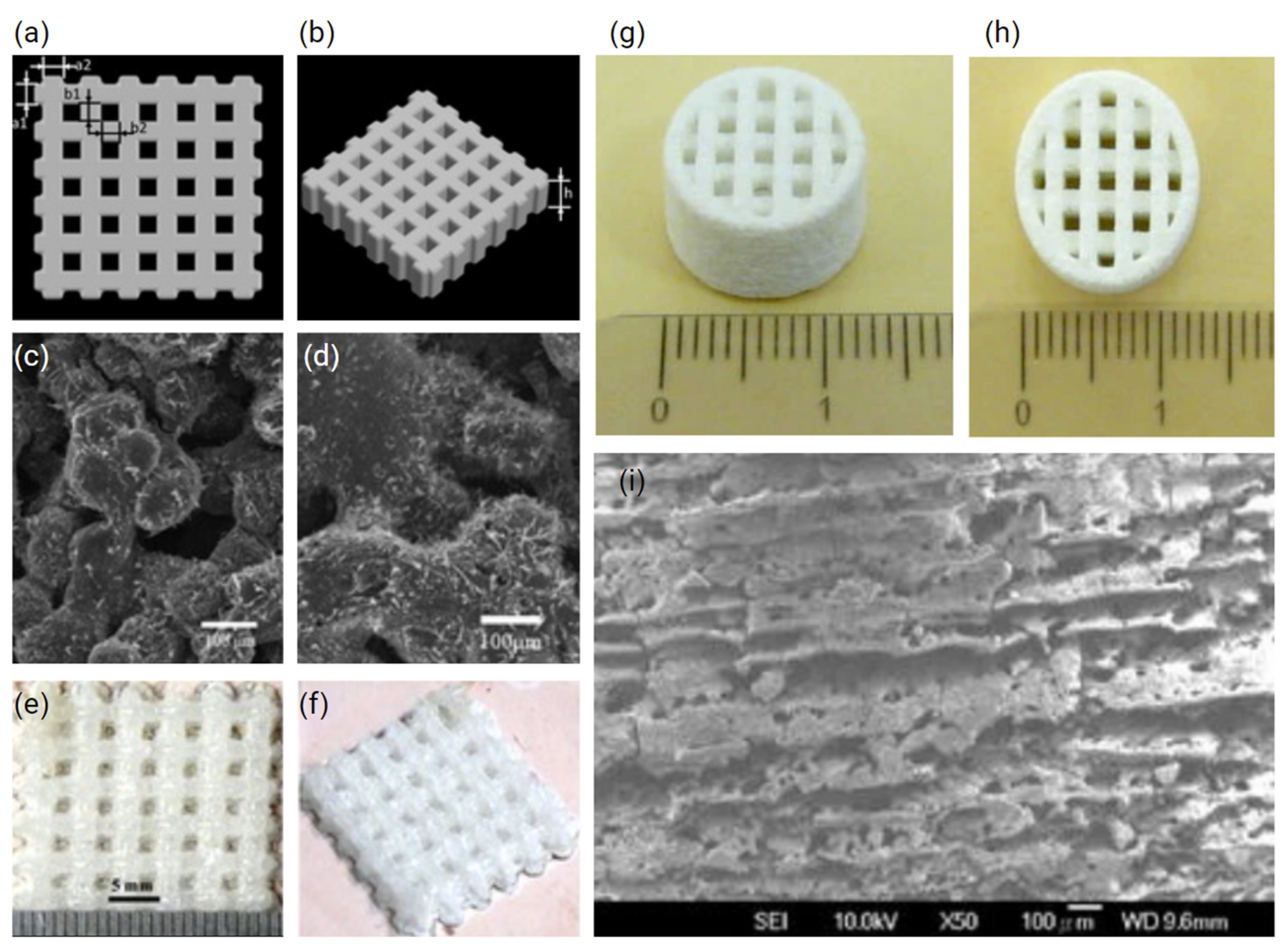 Polymers 14 02336 g008 550