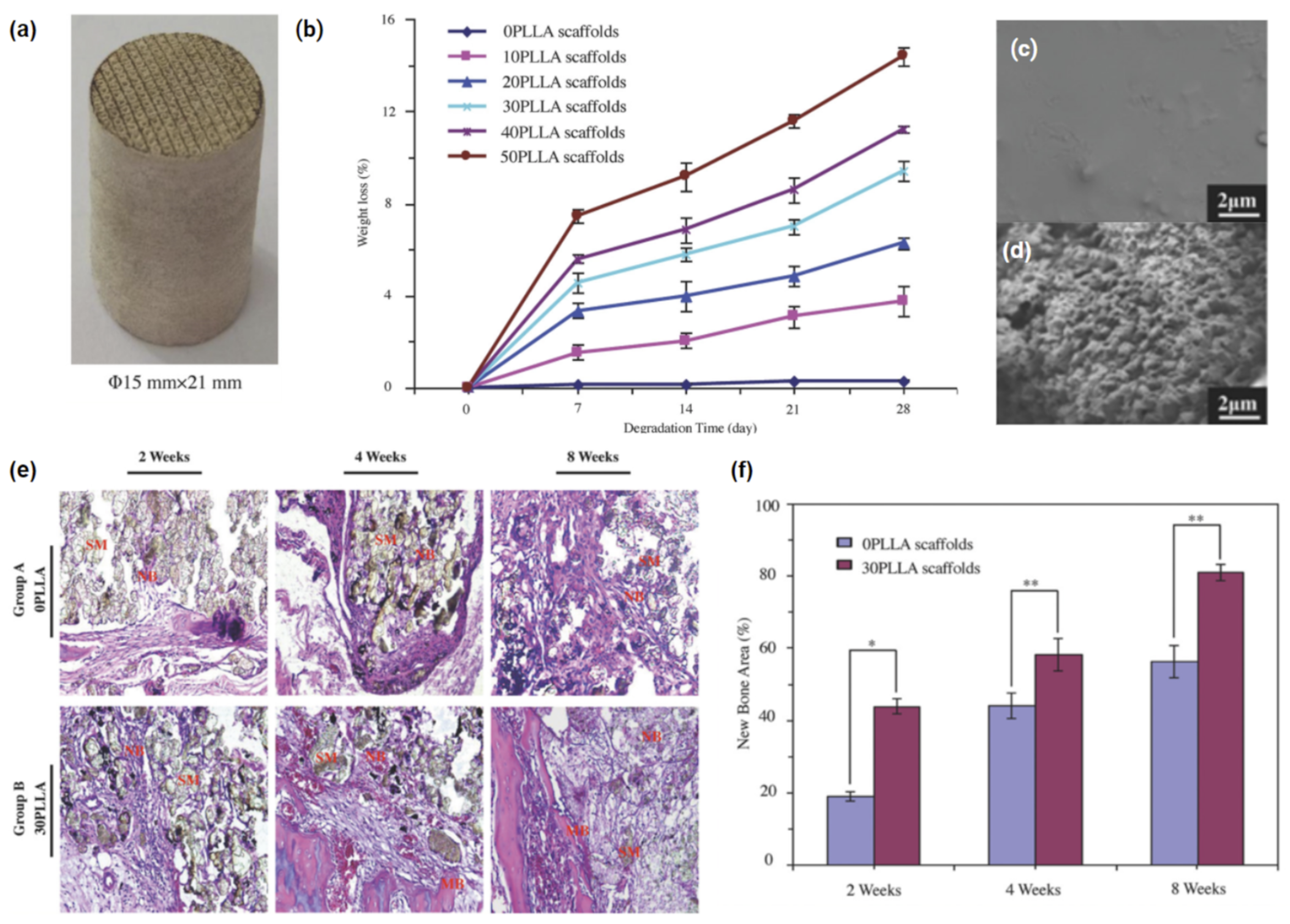 Polymers 14 02336 g009 550