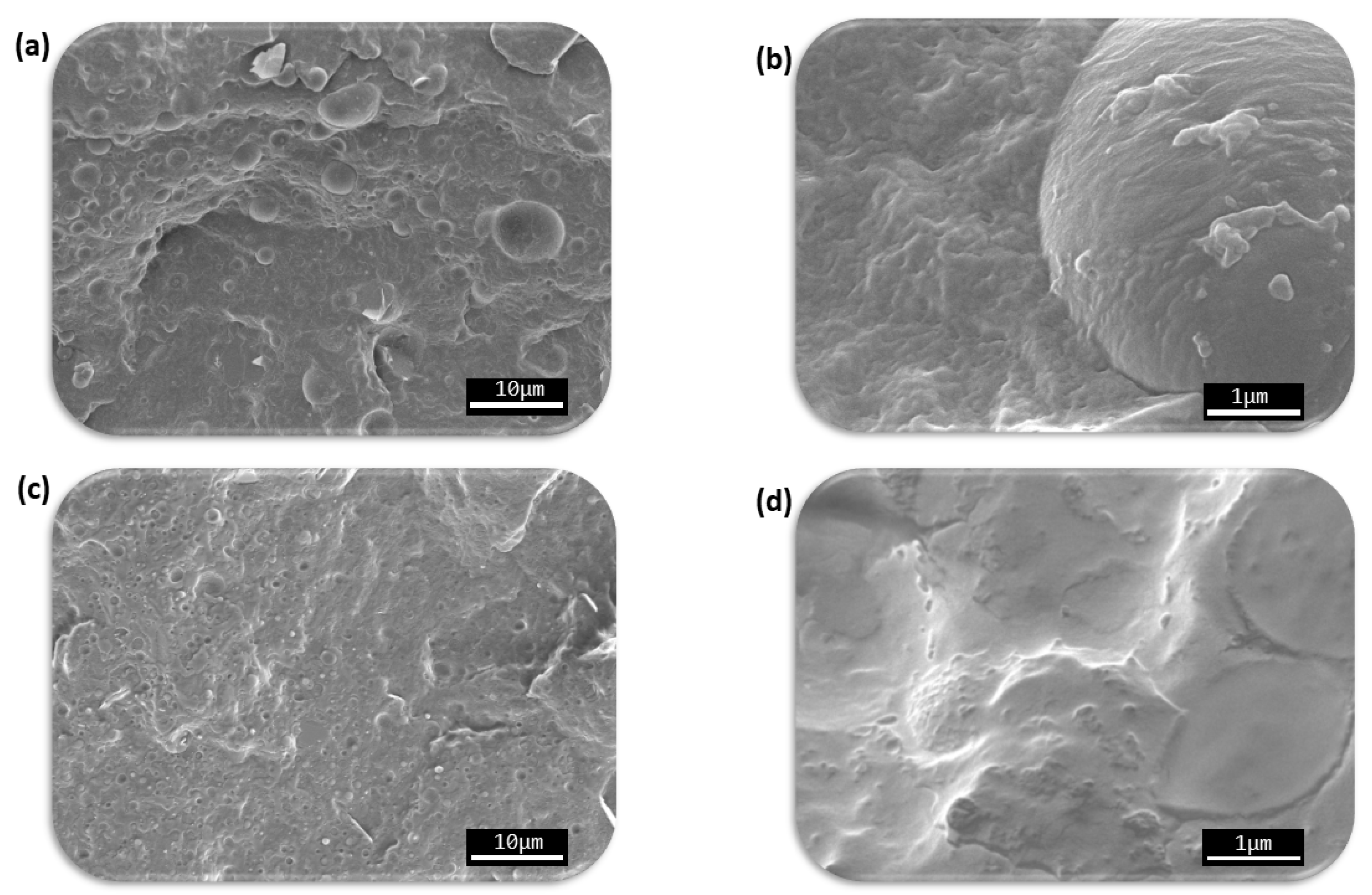 Polymers 14 02337 g001