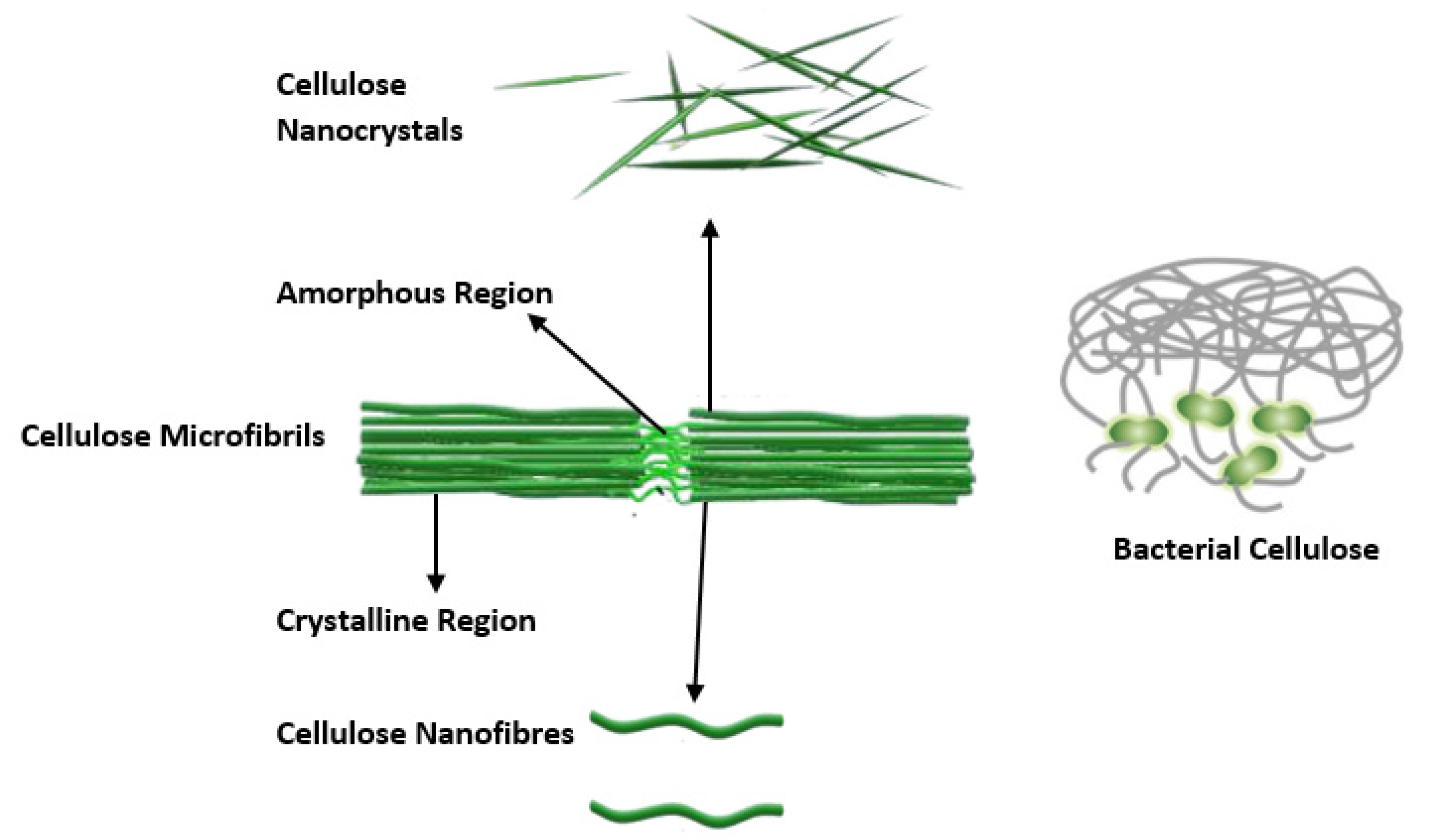 Polymers 14 02343 g003 Polymers 14 02343 g003