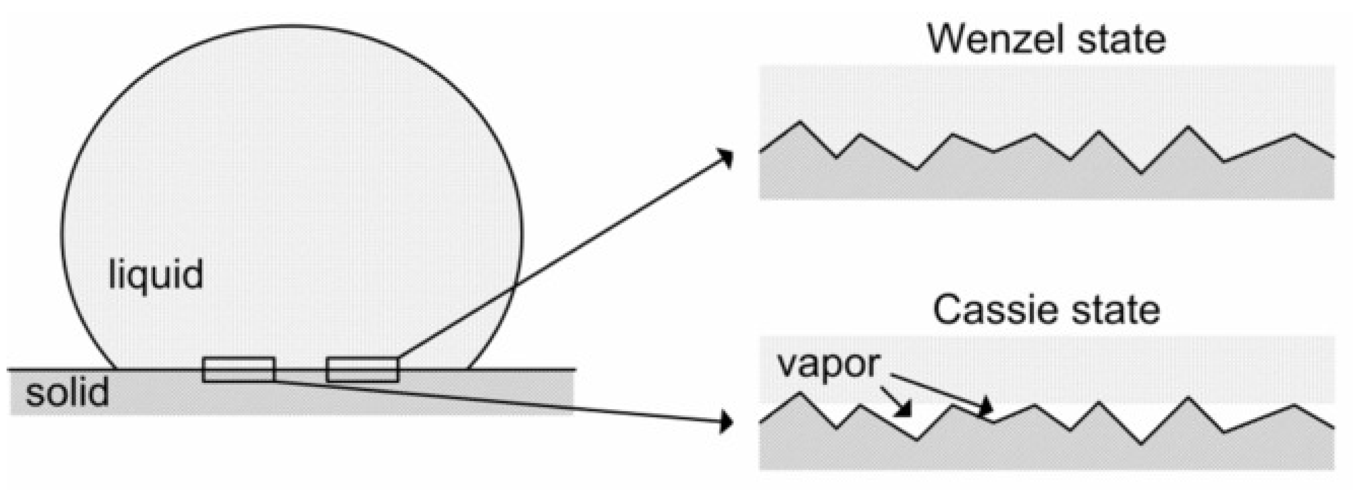 Polymers 14 02343 g005
