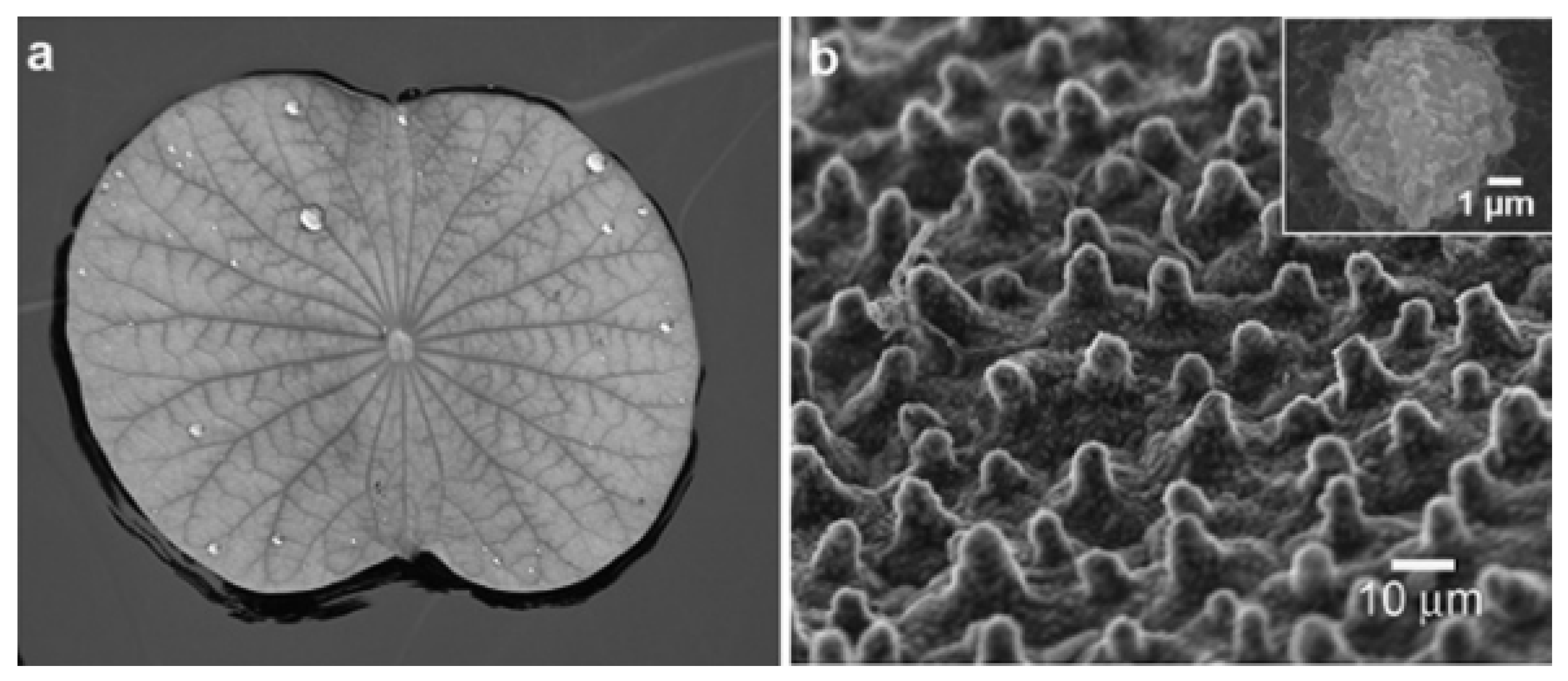 Polymers 14 02343 g006 Polymers 14 02343 g006