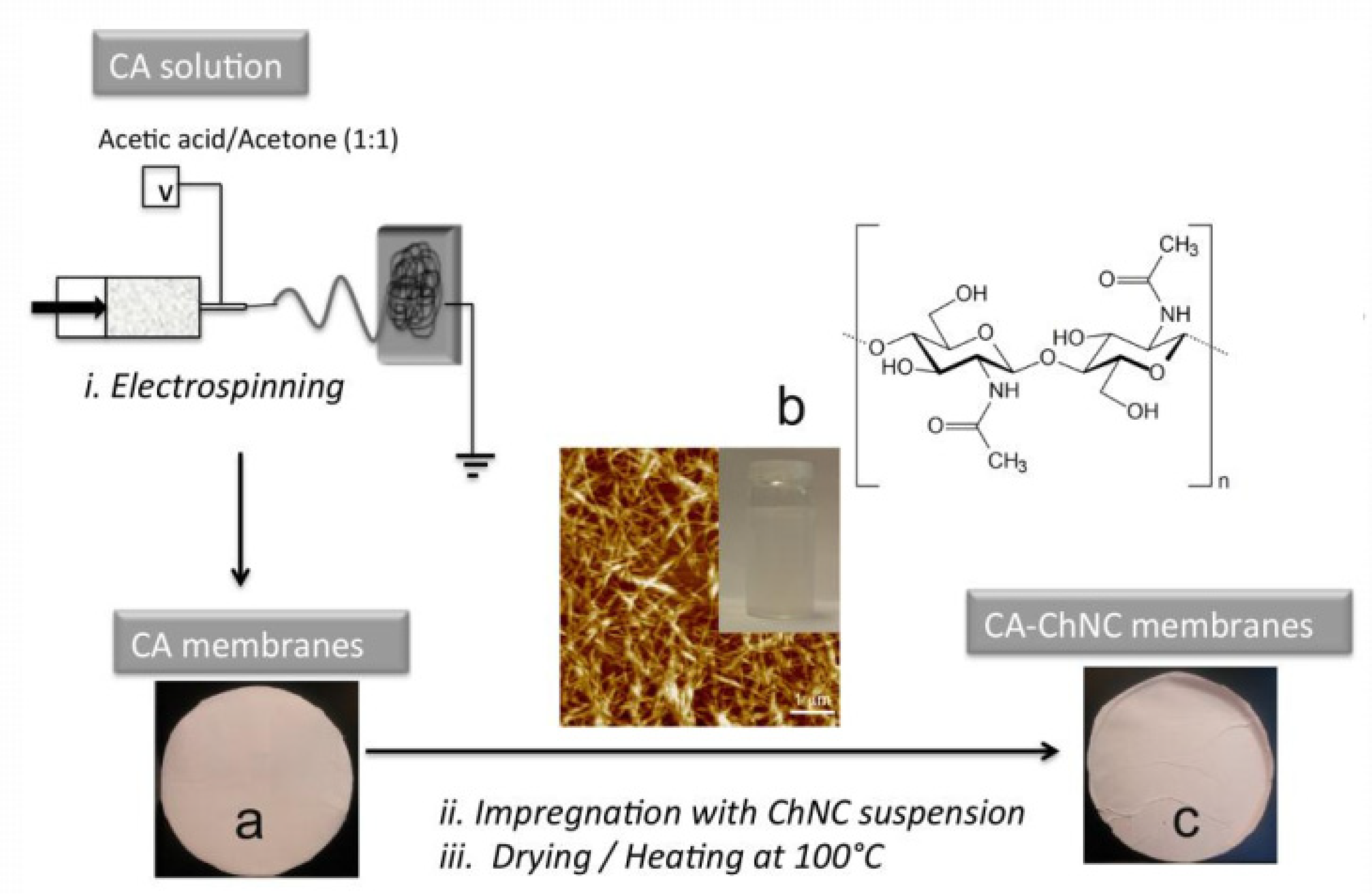 Polymers 14 02343 g013 Polymers 14 02343 g013