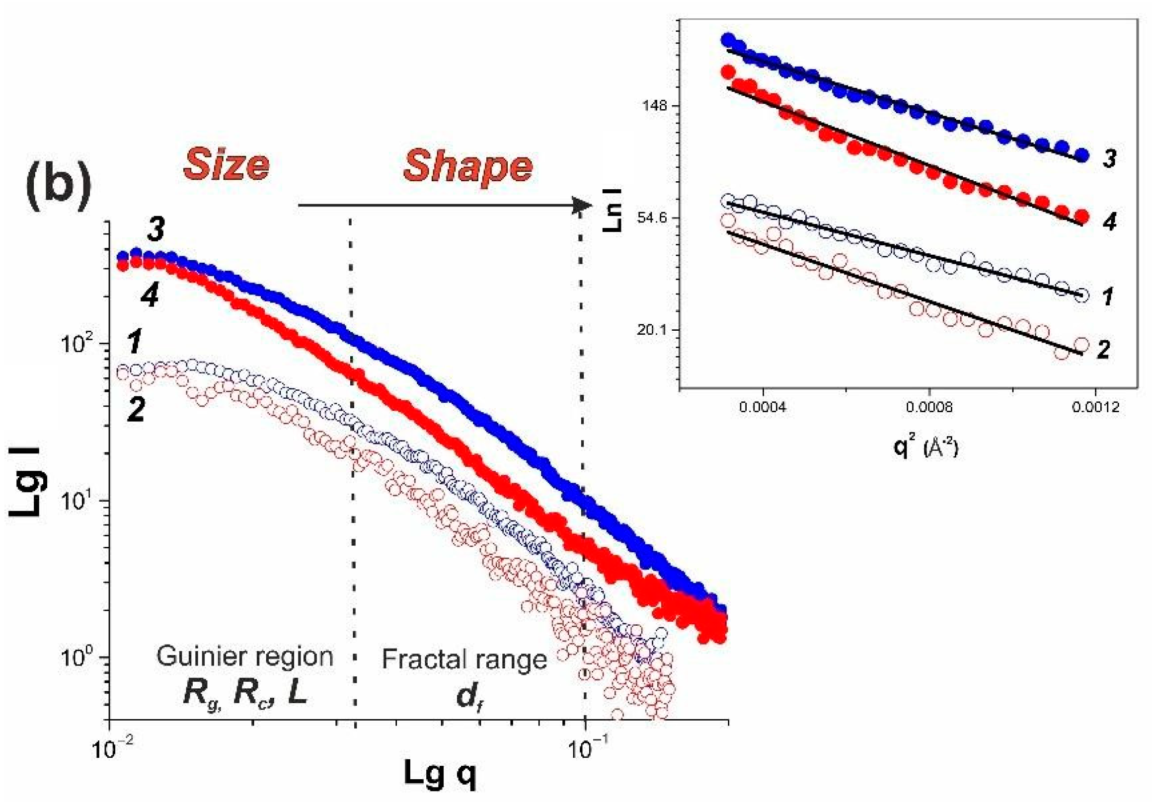 Polymers 14 02346 g002b