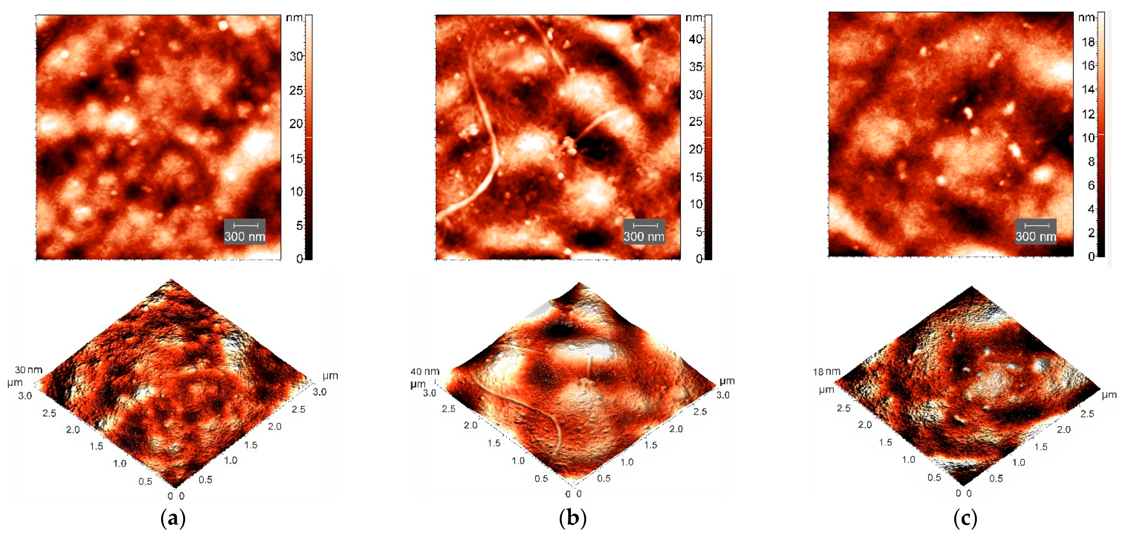 Polymers 14 02346 g005