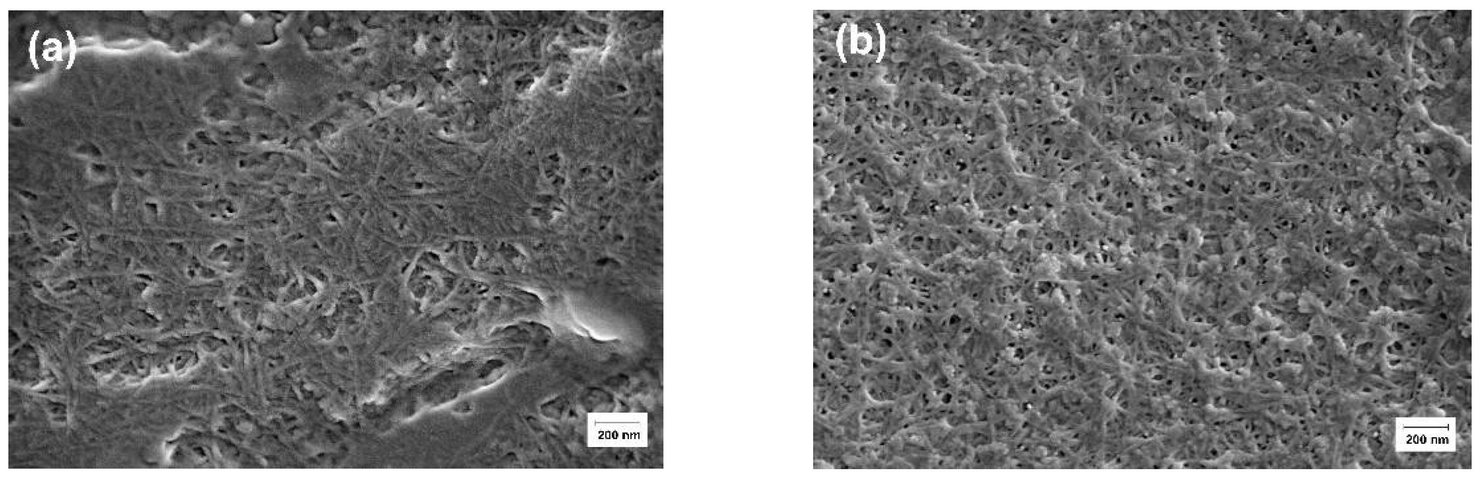Polymers 14 02346 g006